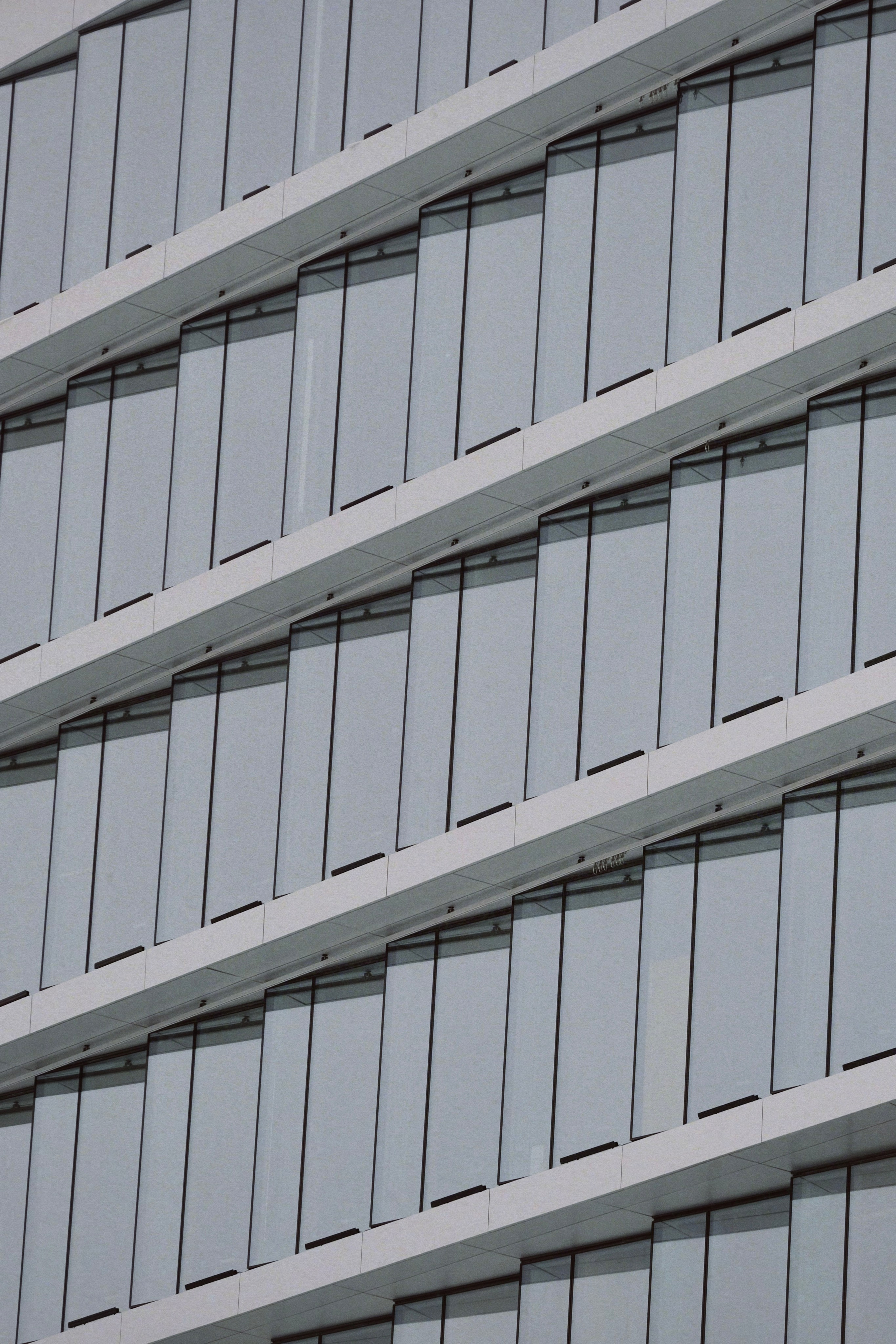 Москва. Татьян гертье