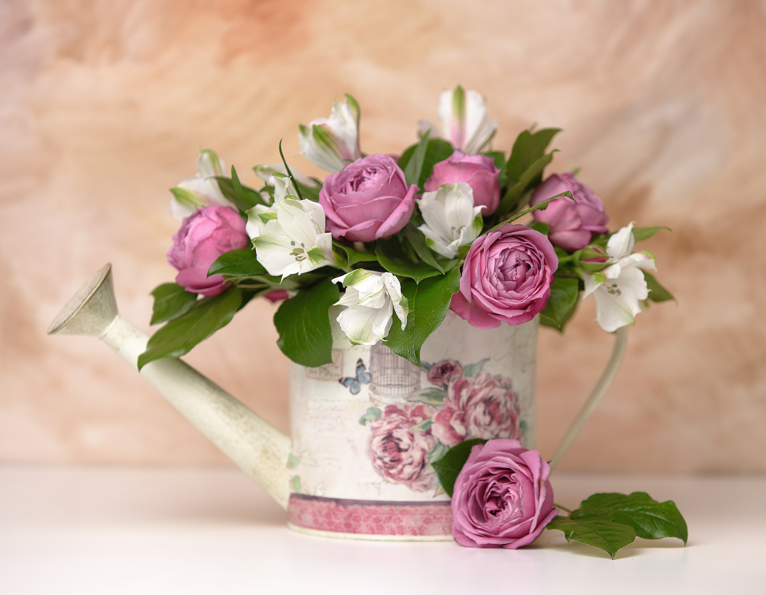 Цветы. Фотограф Мария Кольцова