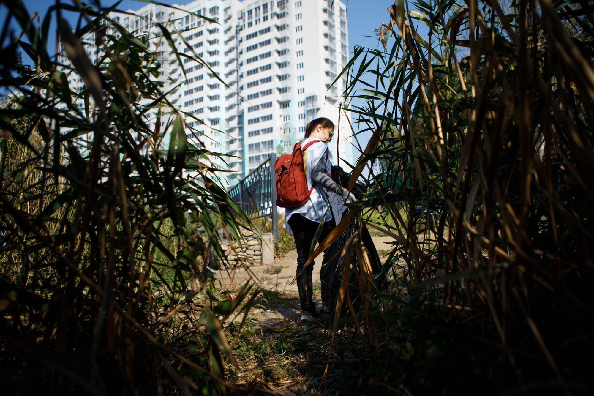 Субботник МАГНИТ. Репортажный и свадебный фотограф в Краснодаре