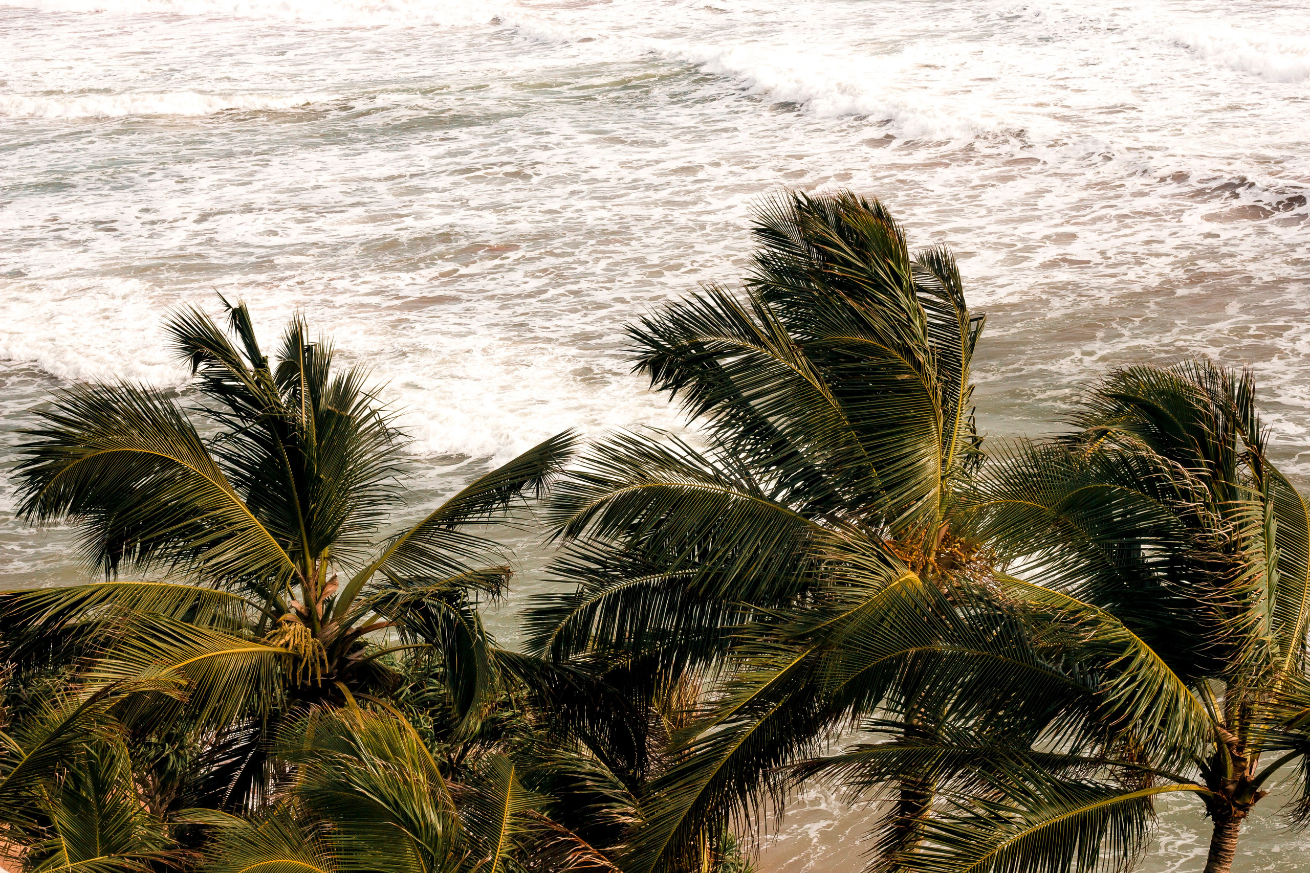 Sri Lanka. Art Photographer