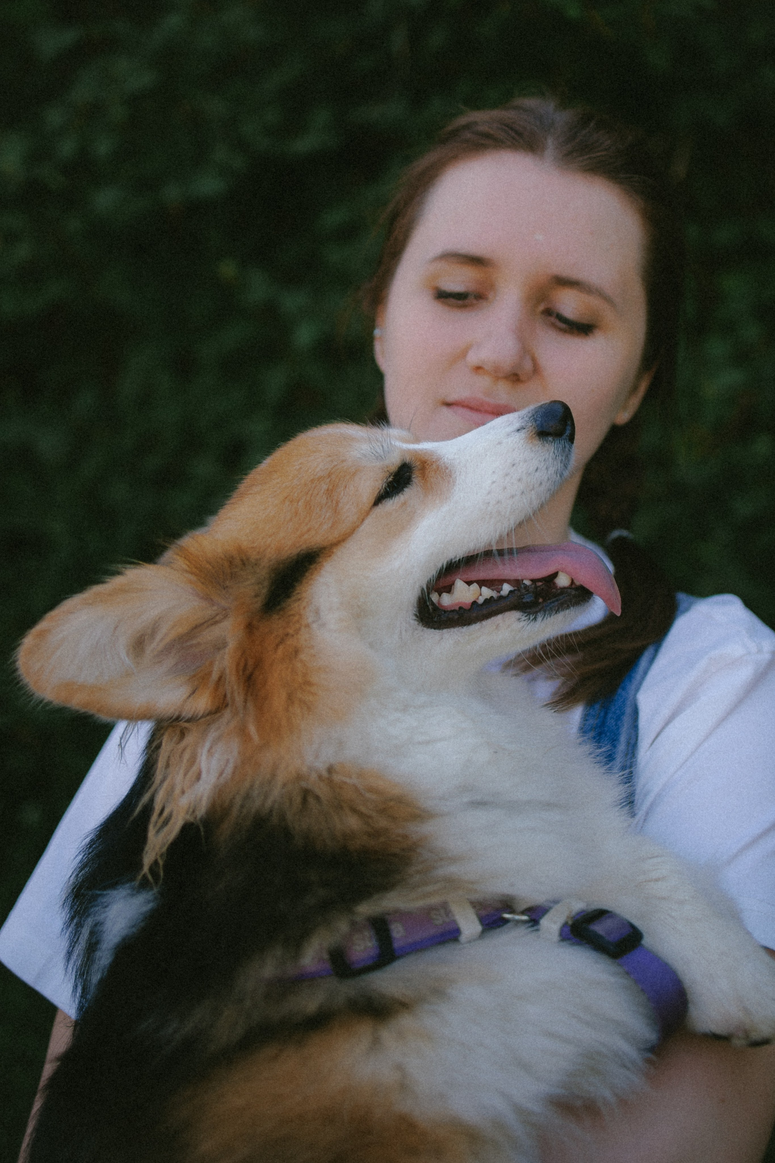 Мишель и Влада. Фотораф — анималист Мария Шистка