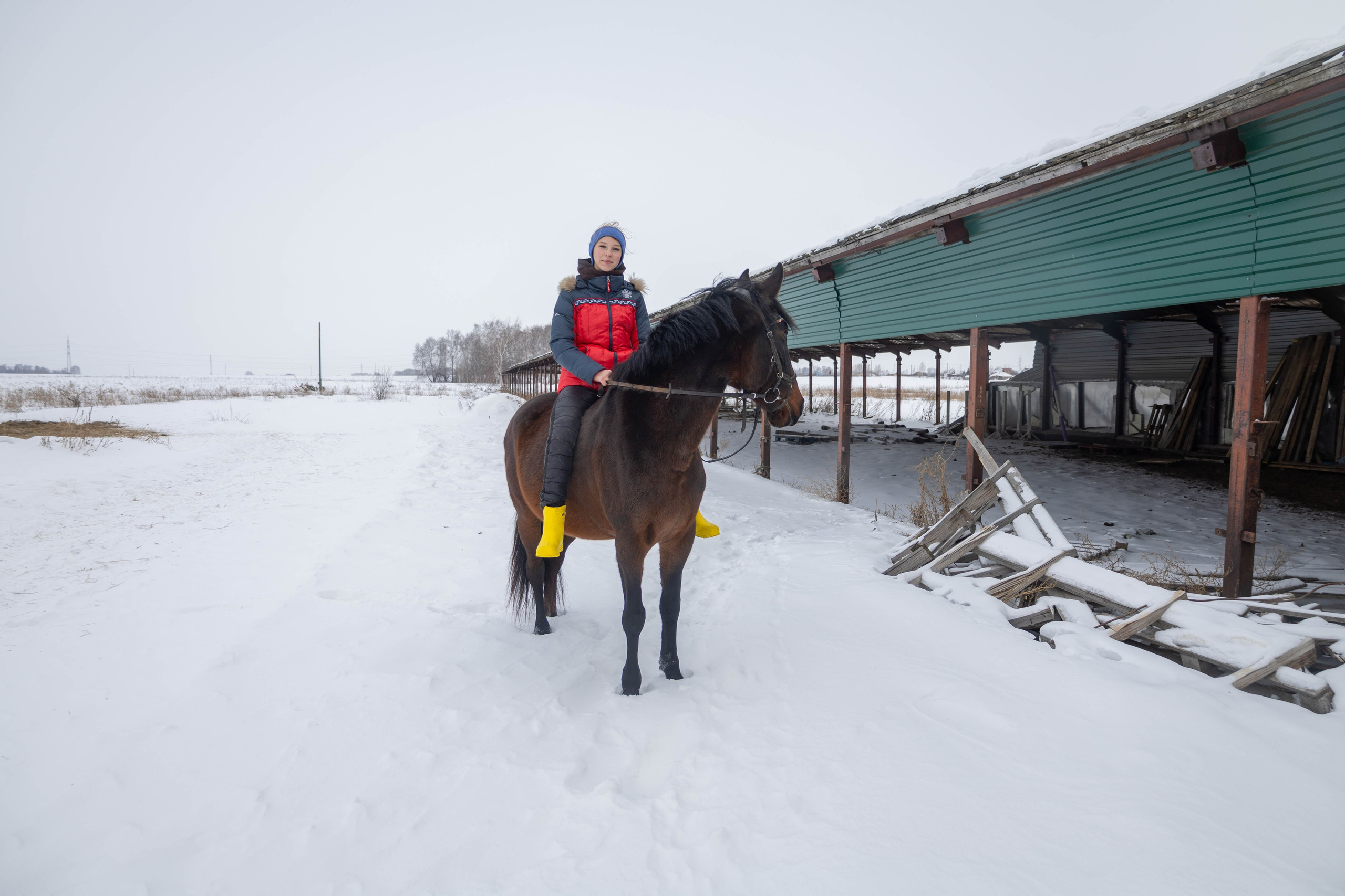 С лошадьми. Mintonov's Film Studio