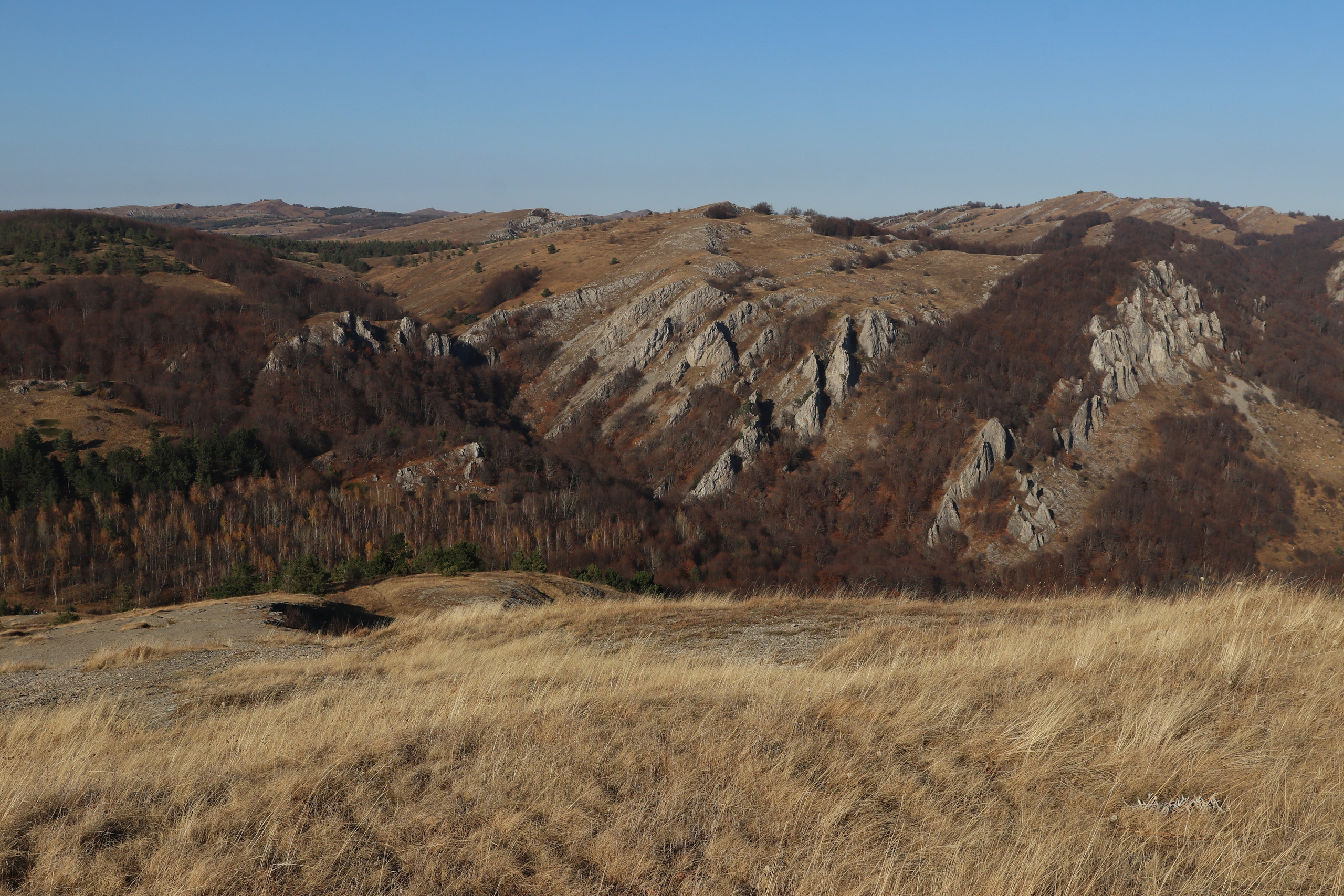 Крым. ЮБК (Гурзуф, Судак и их окрестности). Ноябрь 2023. Путешественник-фотограф из Санкт-Петербурга Татьяна Свистулина