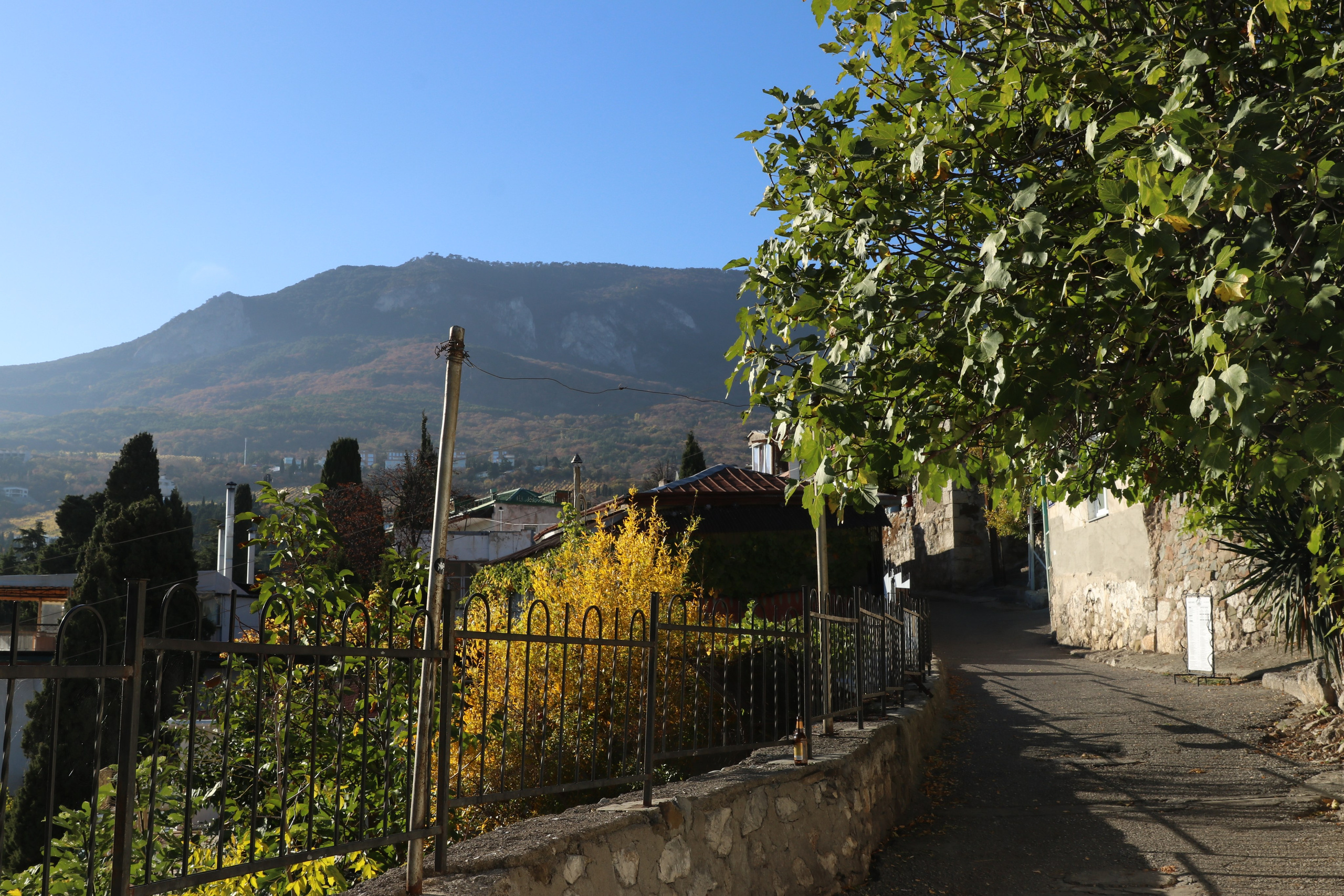 Крым. ЮБК (Гурзуф, Судак и их окрестности). Ноябрь 2023. Путешественник-фотограф из Санкт-Петербурга Татьяна Свистулина