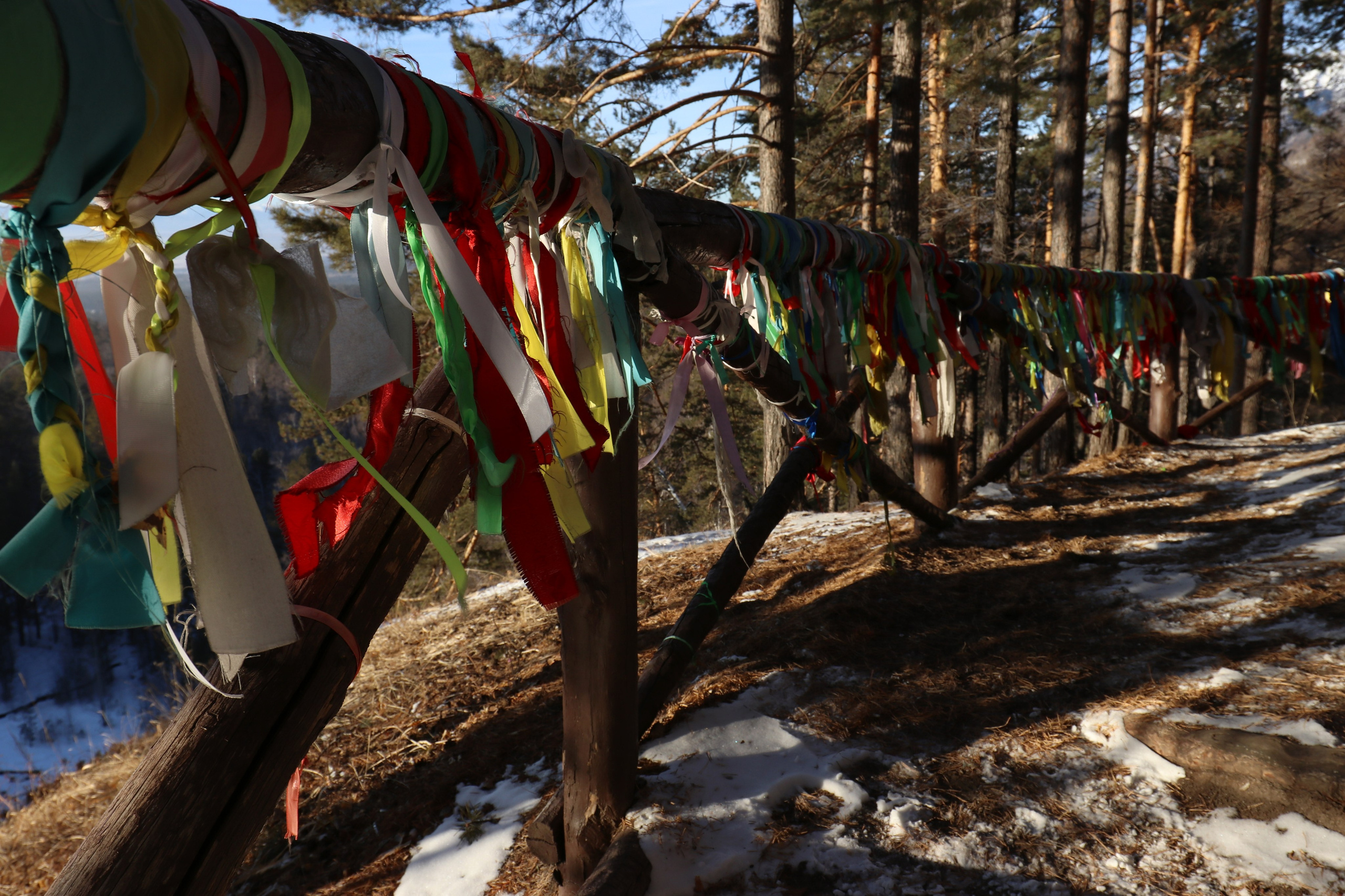 Аршан. Февраль 2025. Путешественник-фотограф из Санкт-Петербурга Татьяна Свистулина