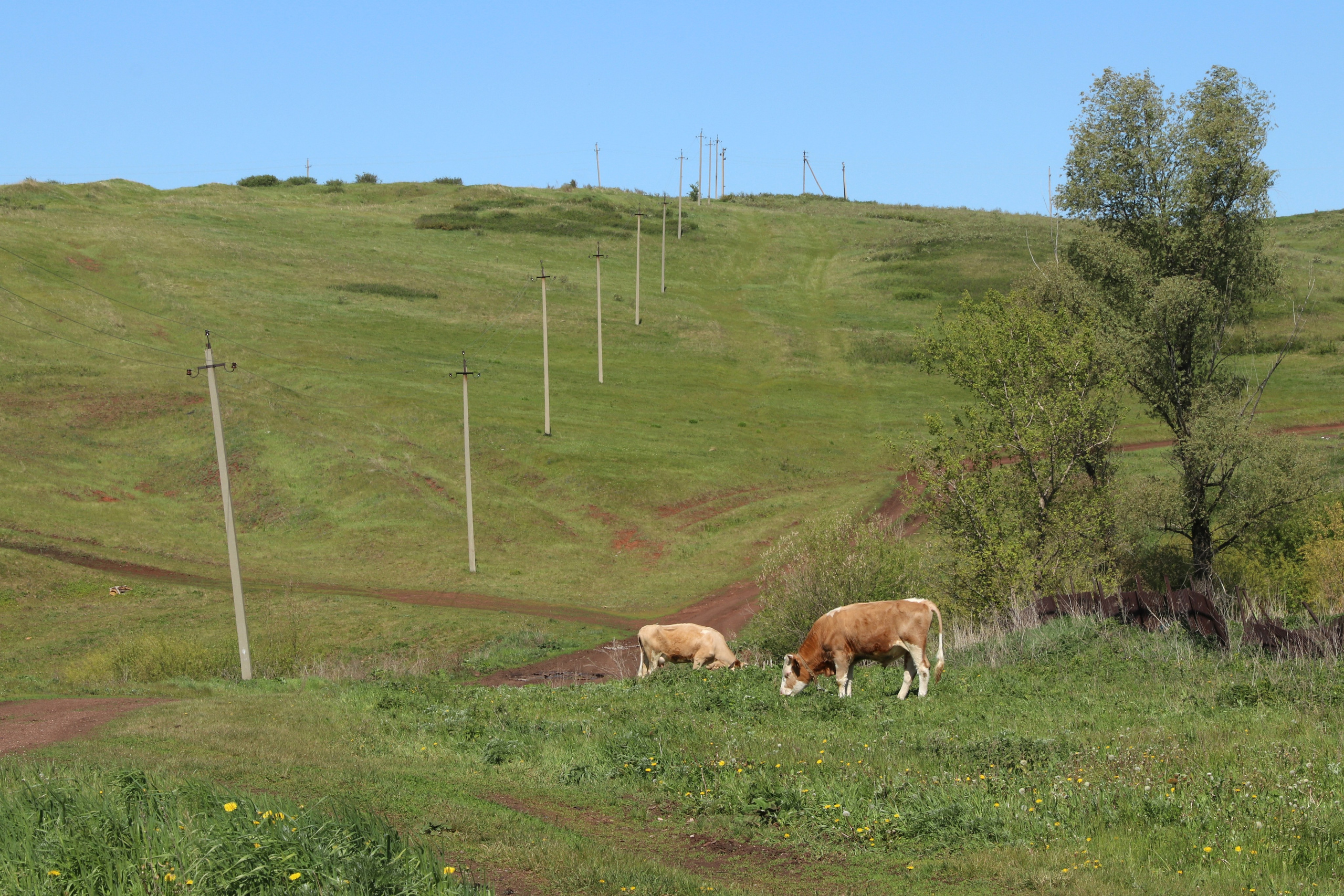 Велопоход Уфа — Мелеуз. Май 2024. Путешественник-фотограф из Санкт-Петербурга Татьяна Свистулина