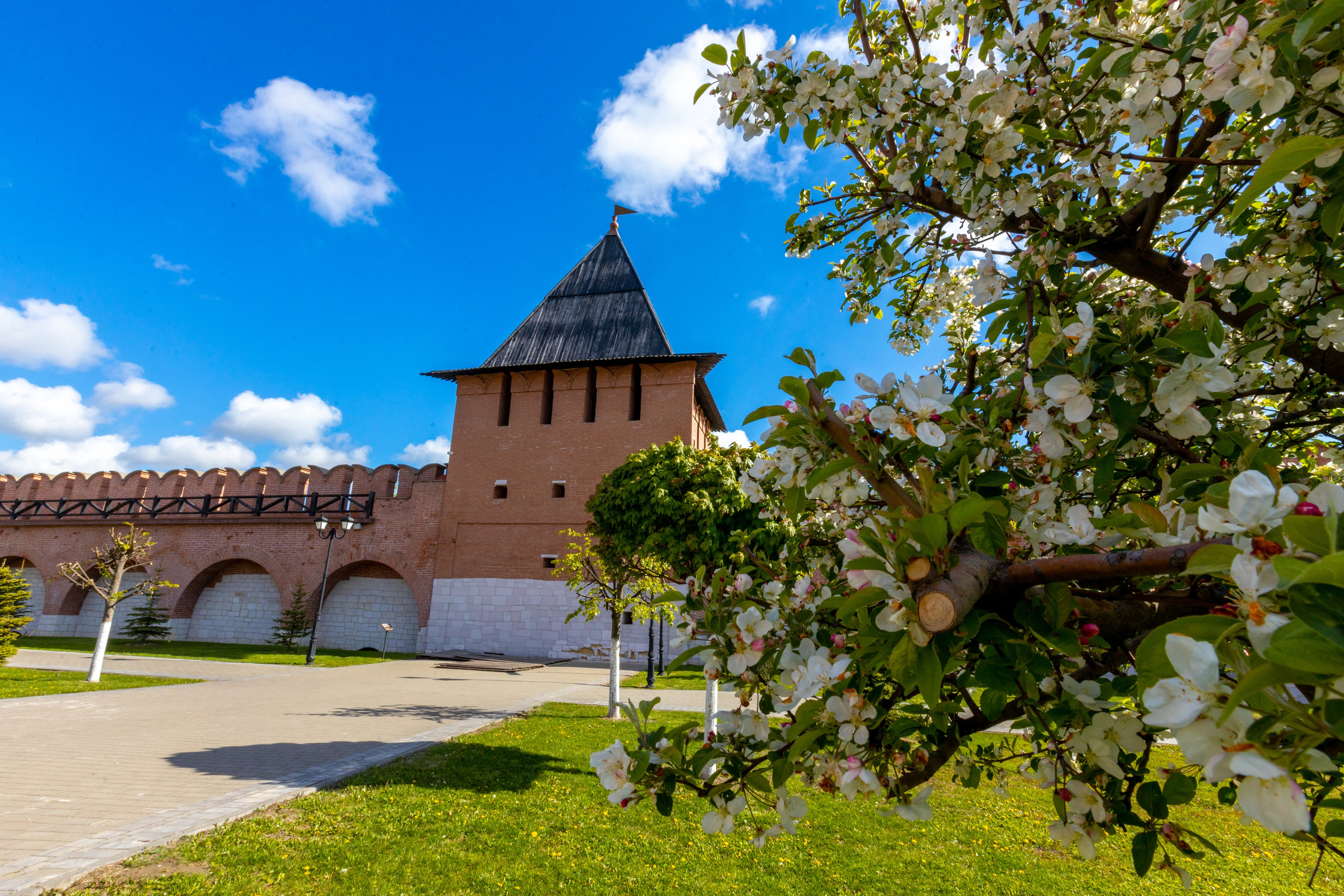 Весеннее цветение в Туле. Фотограф в Туле Крупский АнДРей. Фотостудия «КАДР71» в Туле