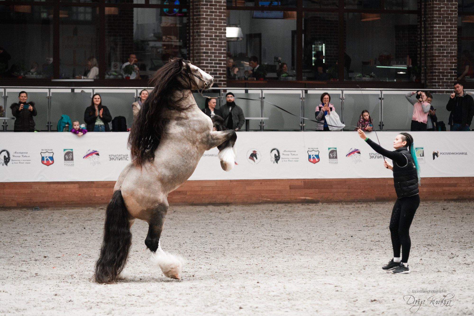 8-я международная выставка Конная Россия. Конный фотограф Куракина Дарья • Фотосессии с лошадьми