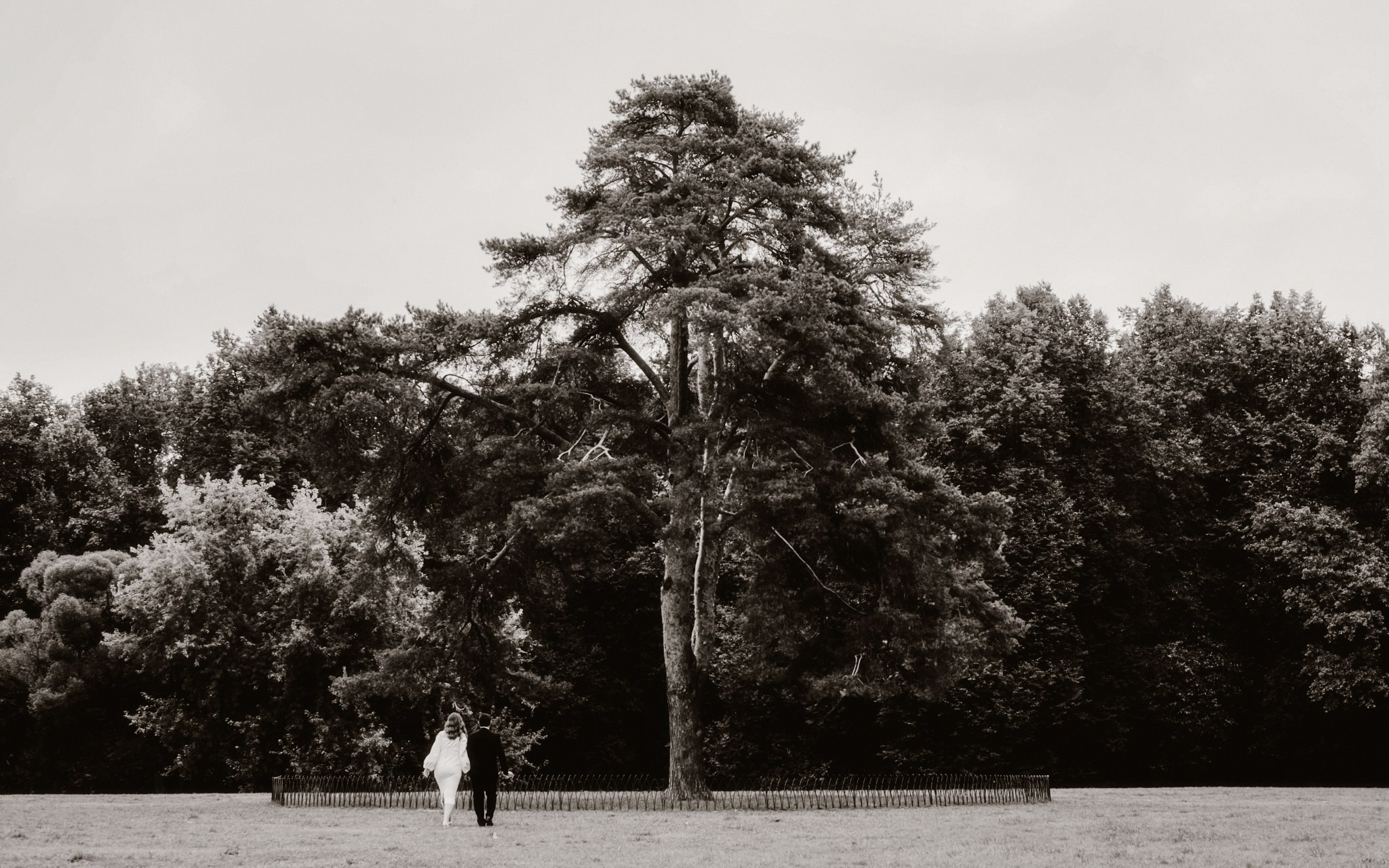 Passing Time Wedding| Юрий и Татьяна. Фотограф Аннё| Москва