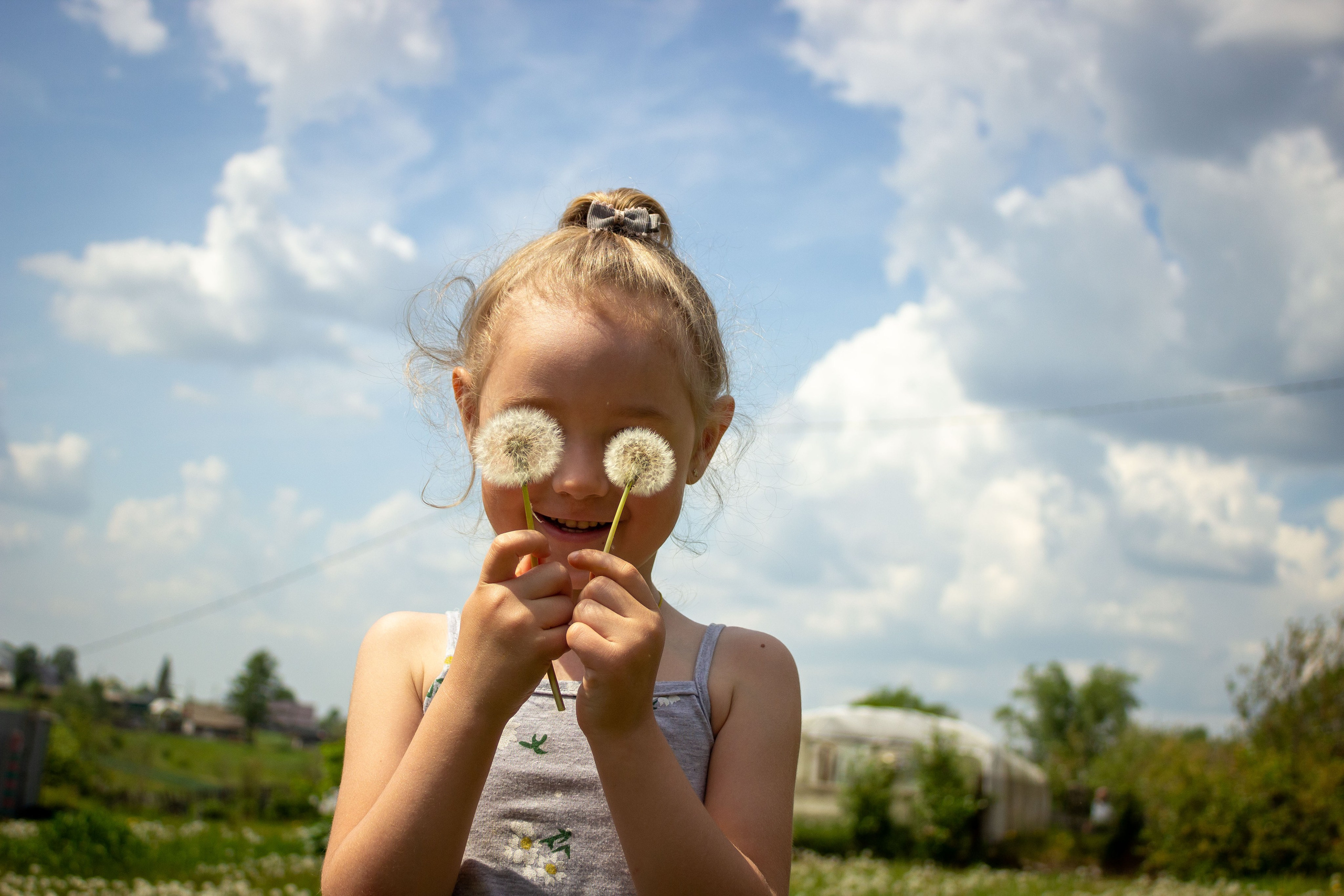 Одуванчики. Фотограф в Богдановиче Анна Сантяпова