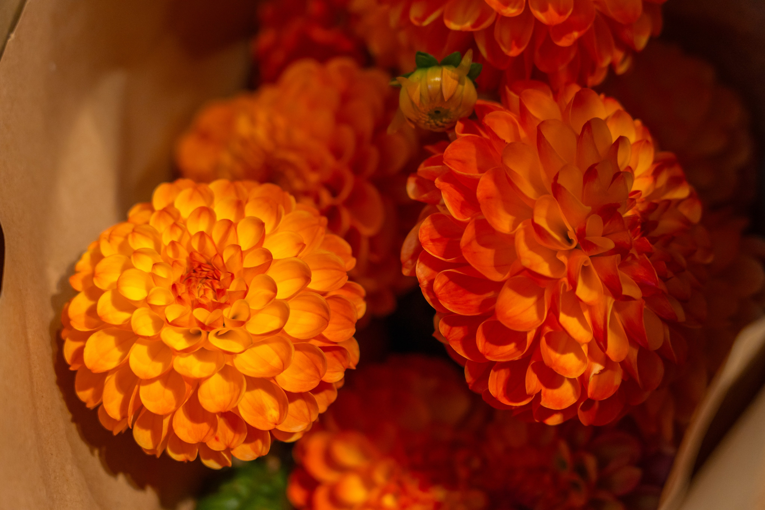 День работника HR в Авито. Главная