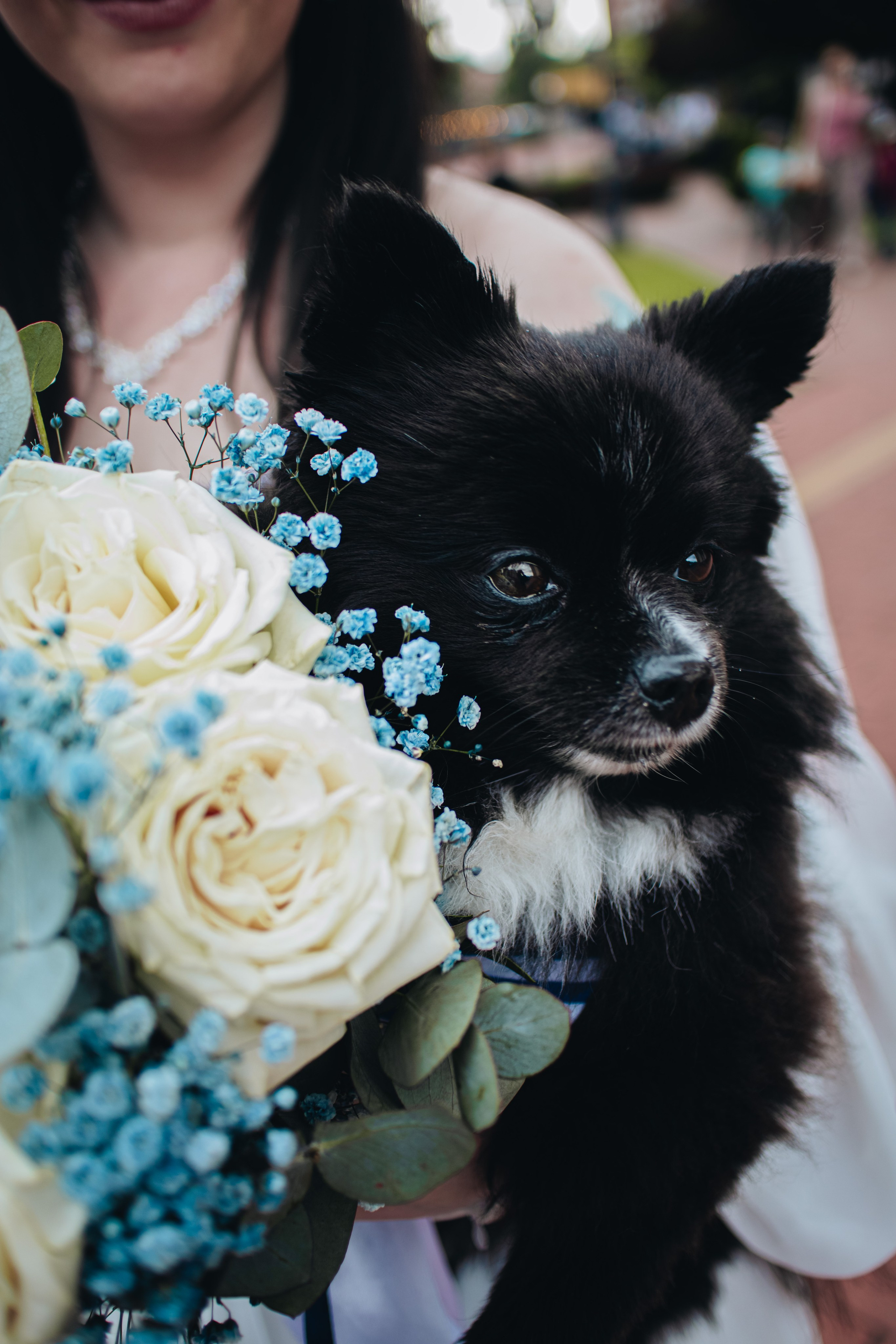 Свадьба. Катерина и Алексей. KRIS KRUPINNIKOVA