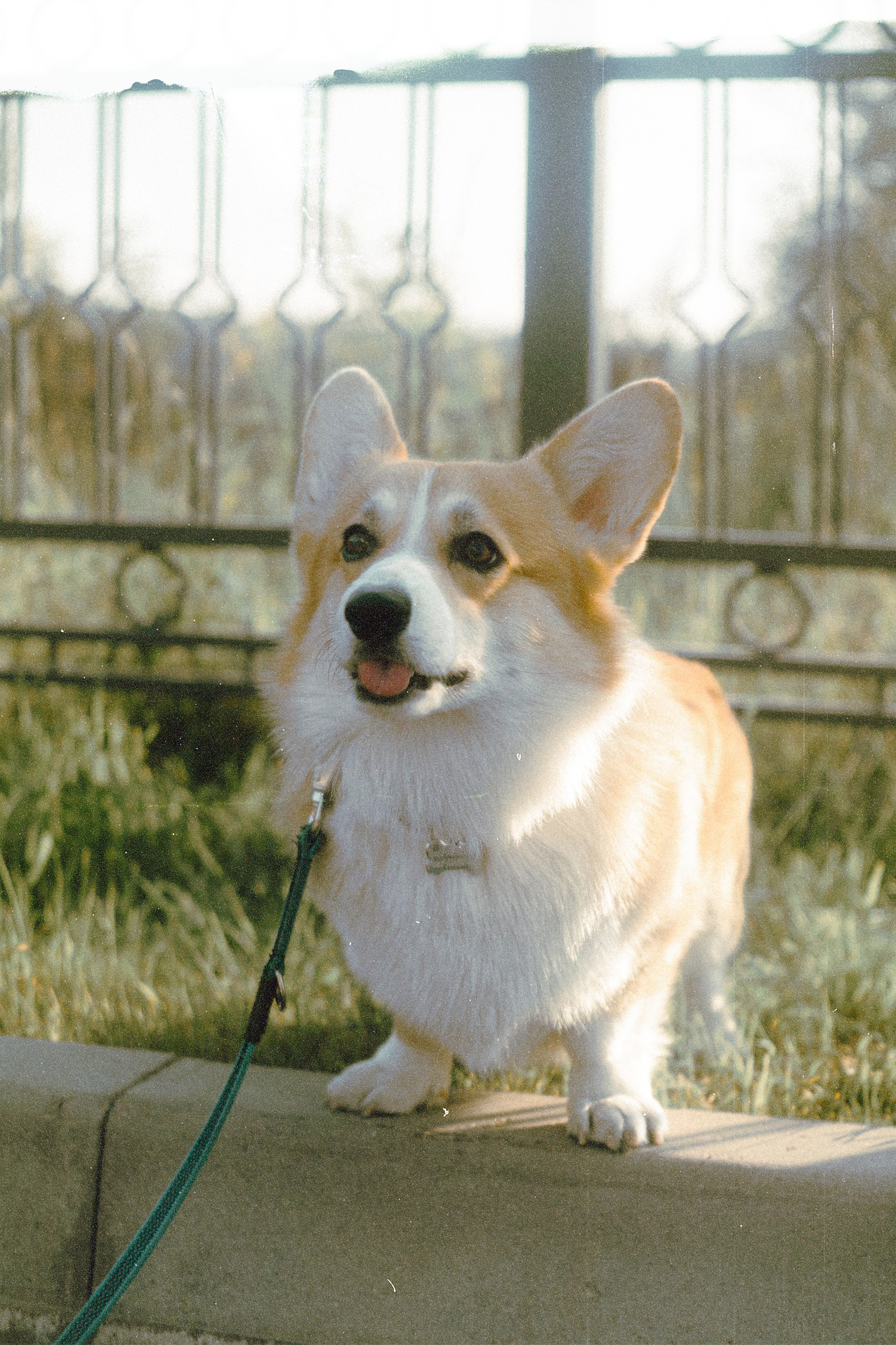 Репортажная фотосъёмка SMD Weekend в Калуге обработанные под плёнку