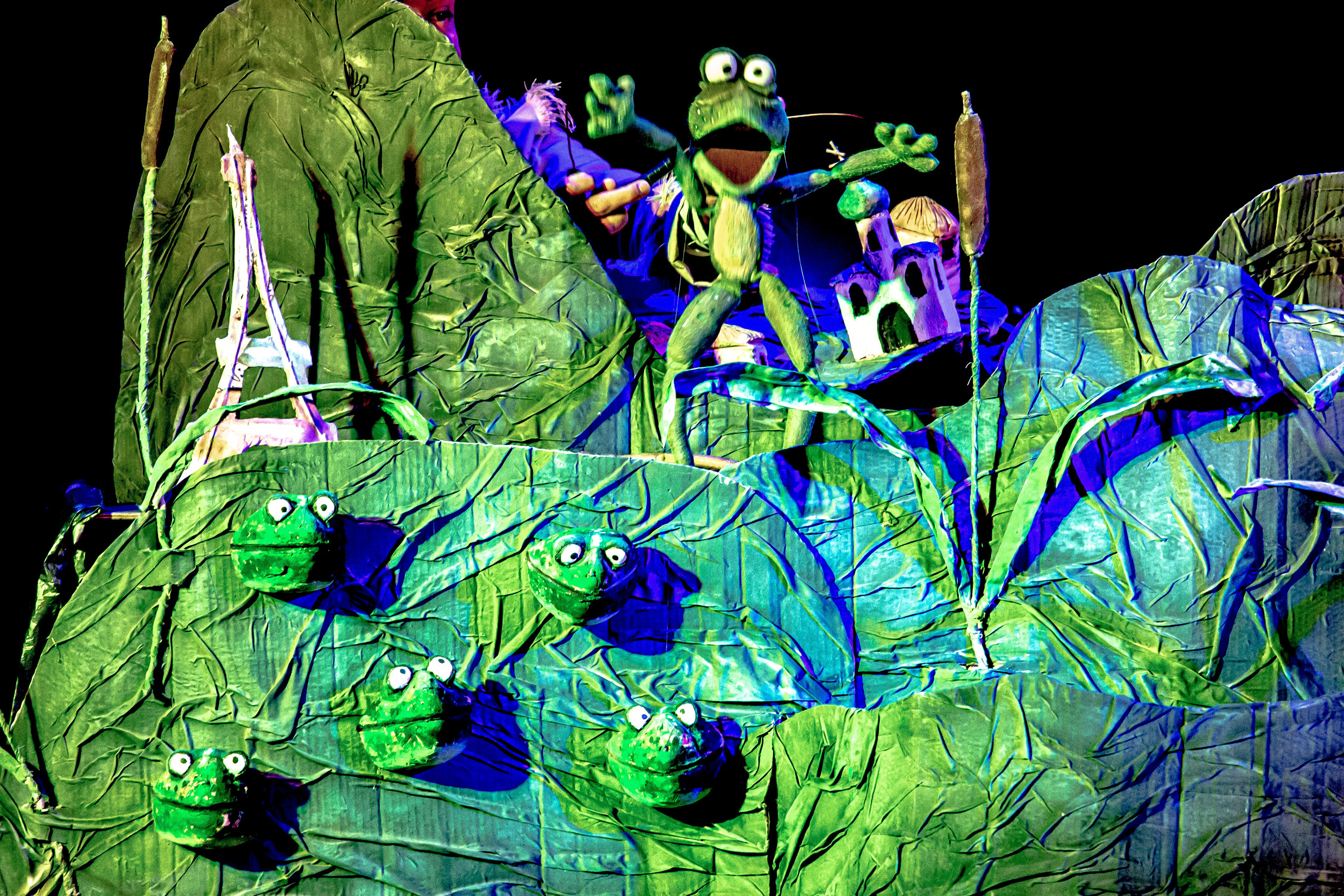 Спектакль театра Саквояж Лягушка путешествиница. Фотограф в Сочи Юрий Шептаев