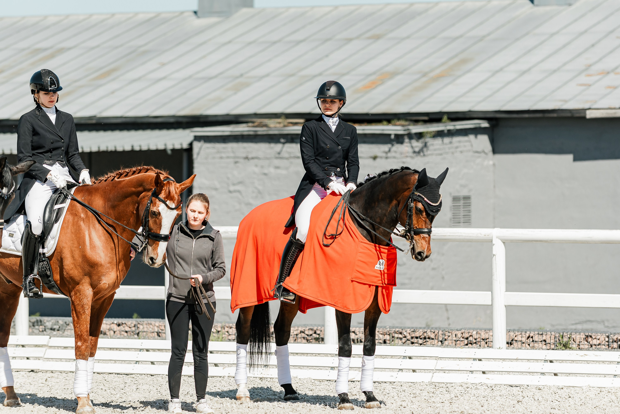 РЕПОРТАЖ МКК ВОЛЬТ «LA TULIPS». Конный фотограф Куракина Дарья • Фотосессии с лошадьми