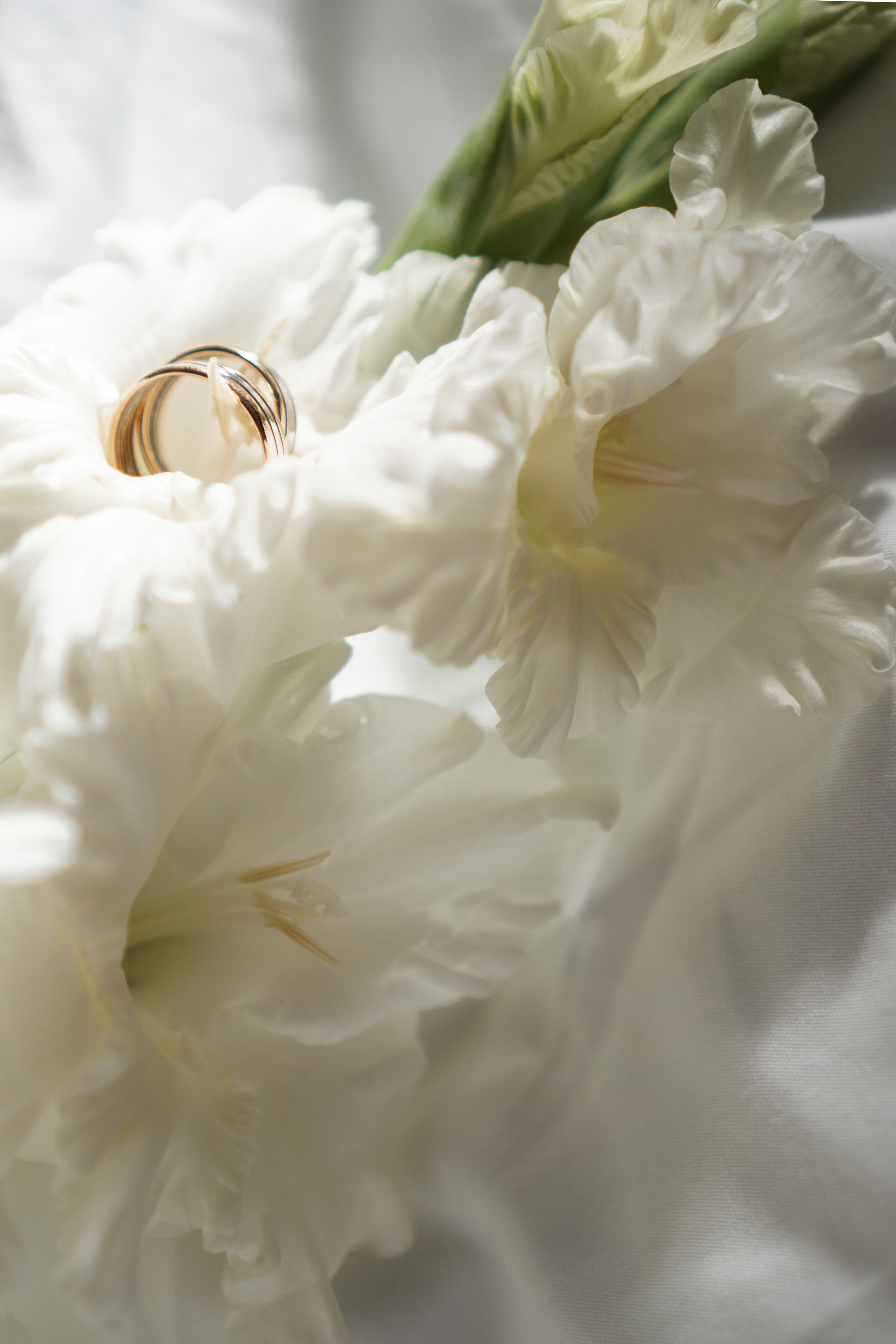 Кирилл и Мария. Главная