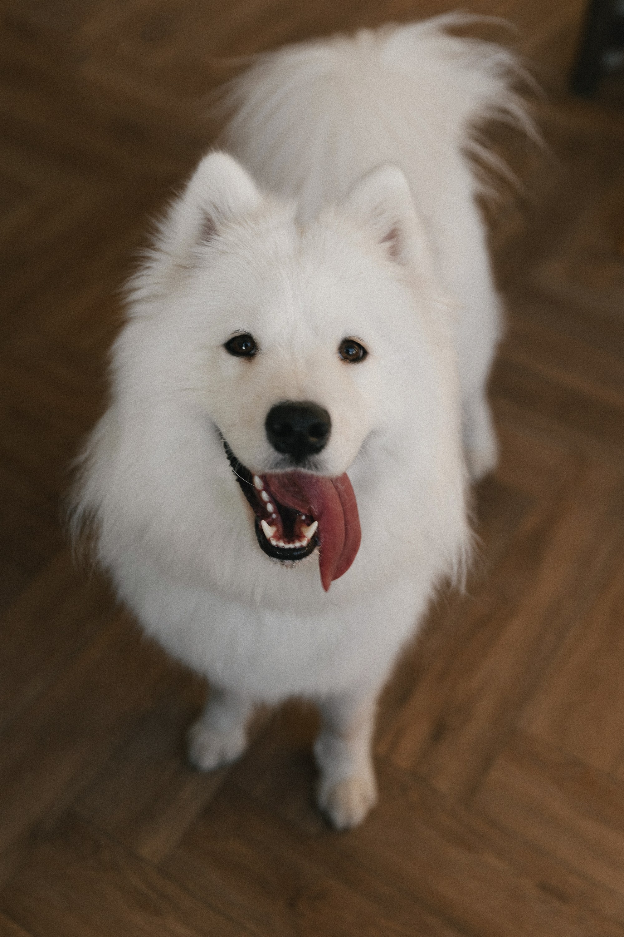 LOVESTORY. Maria Startseva Photo