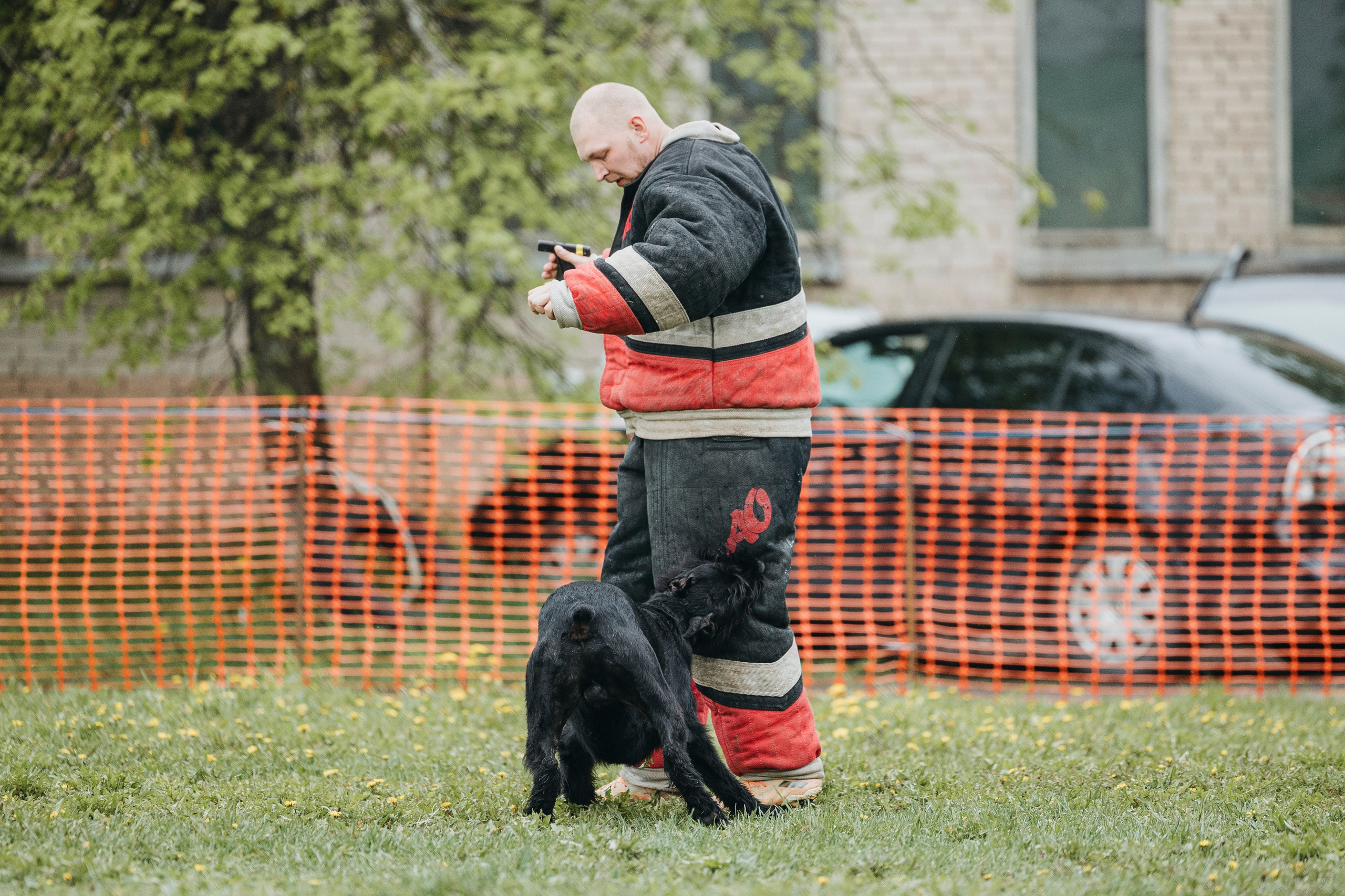 26.05.25 г. Пушкин квалификационные соревнования. Фотограф-анималист Анна Маринич