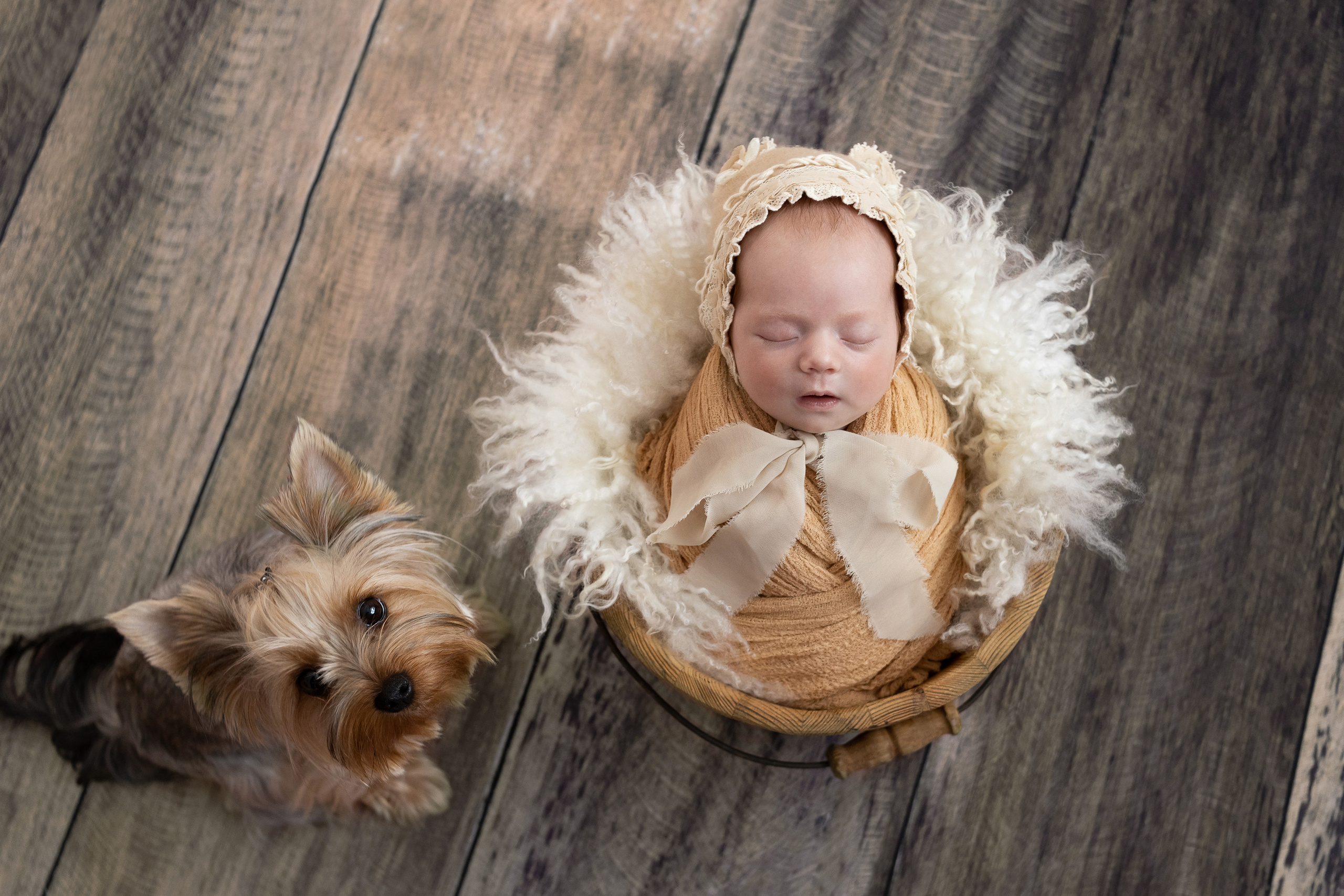 фотосессия детская с домашним питомцем