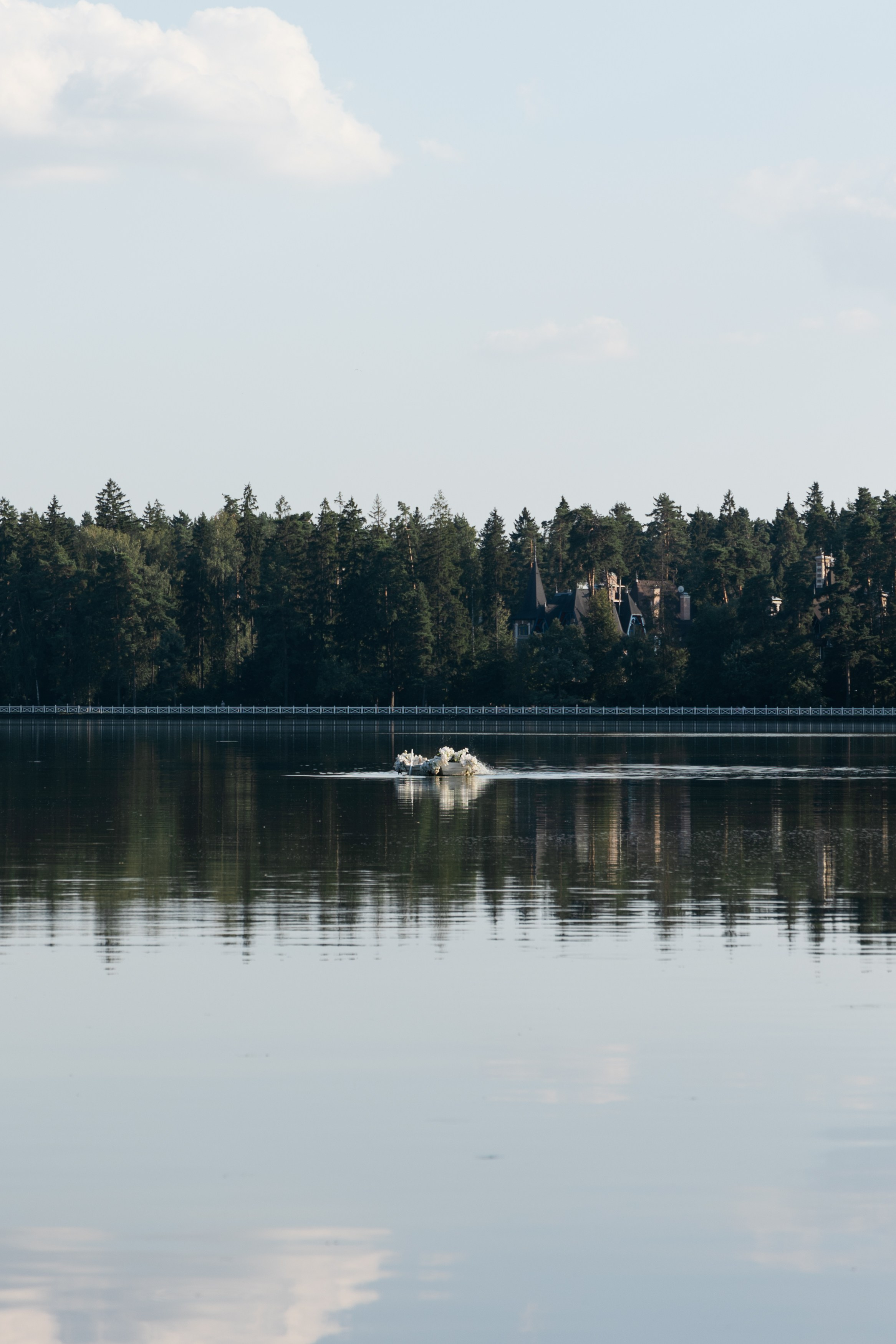 Герберы & звездные гости. Фотограф в Москве Анастасия Курлович