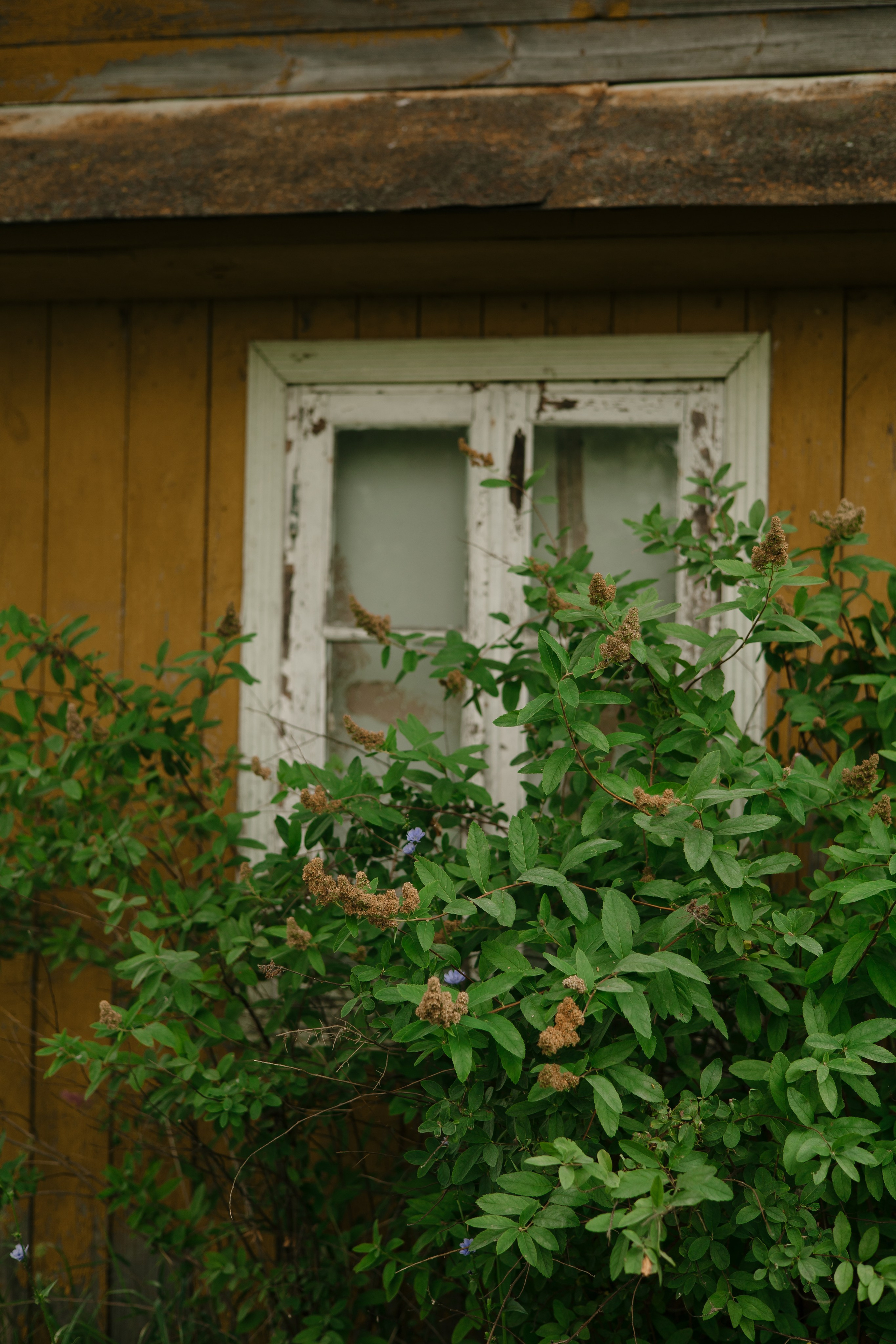 АНАСТАСИЯ. Фотограф Элла Ефимова