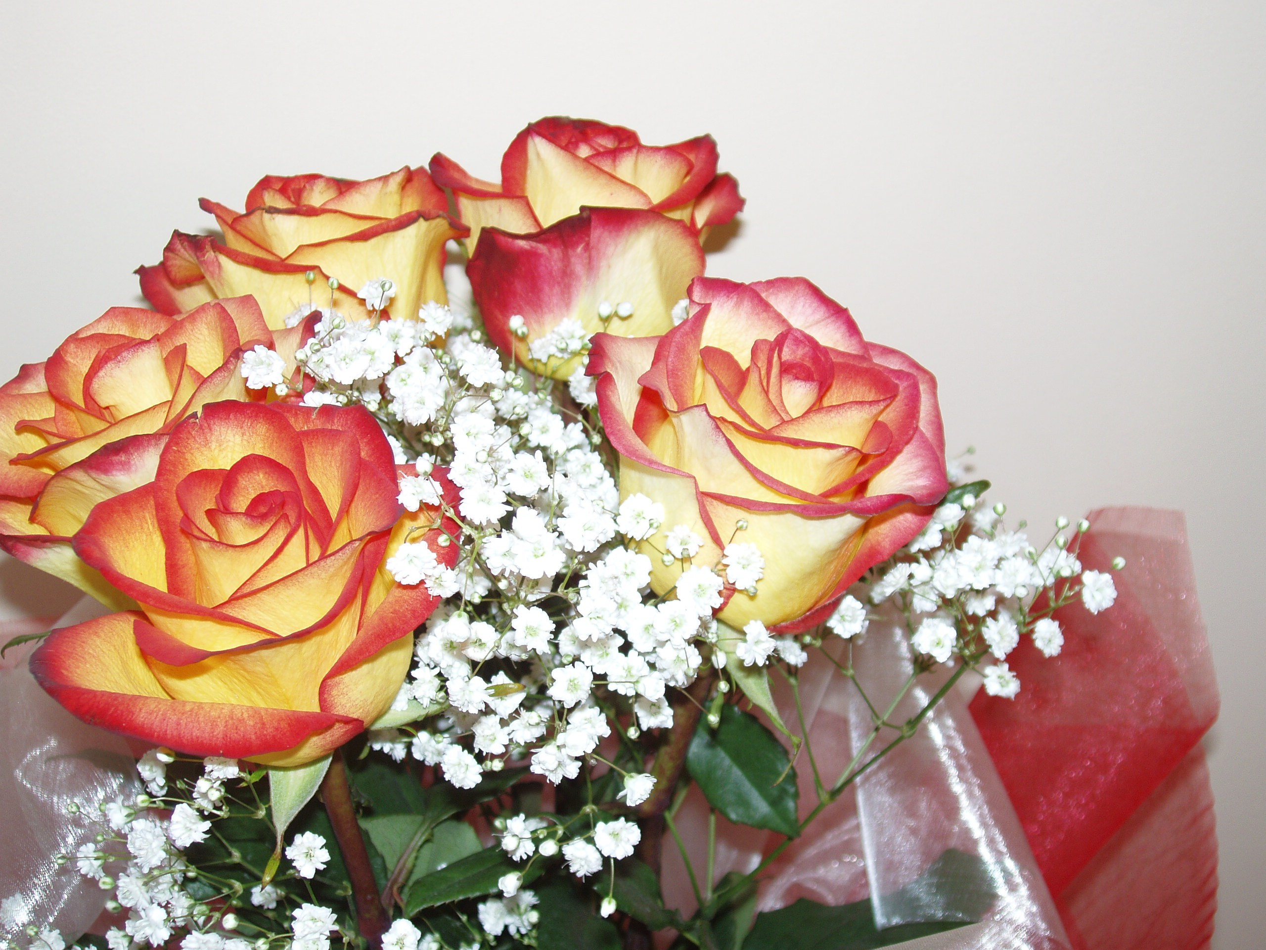 Мама ДР 30.06.2012. Семейный, Свадебный фотограф СПБ Питер— Романова Екатерина