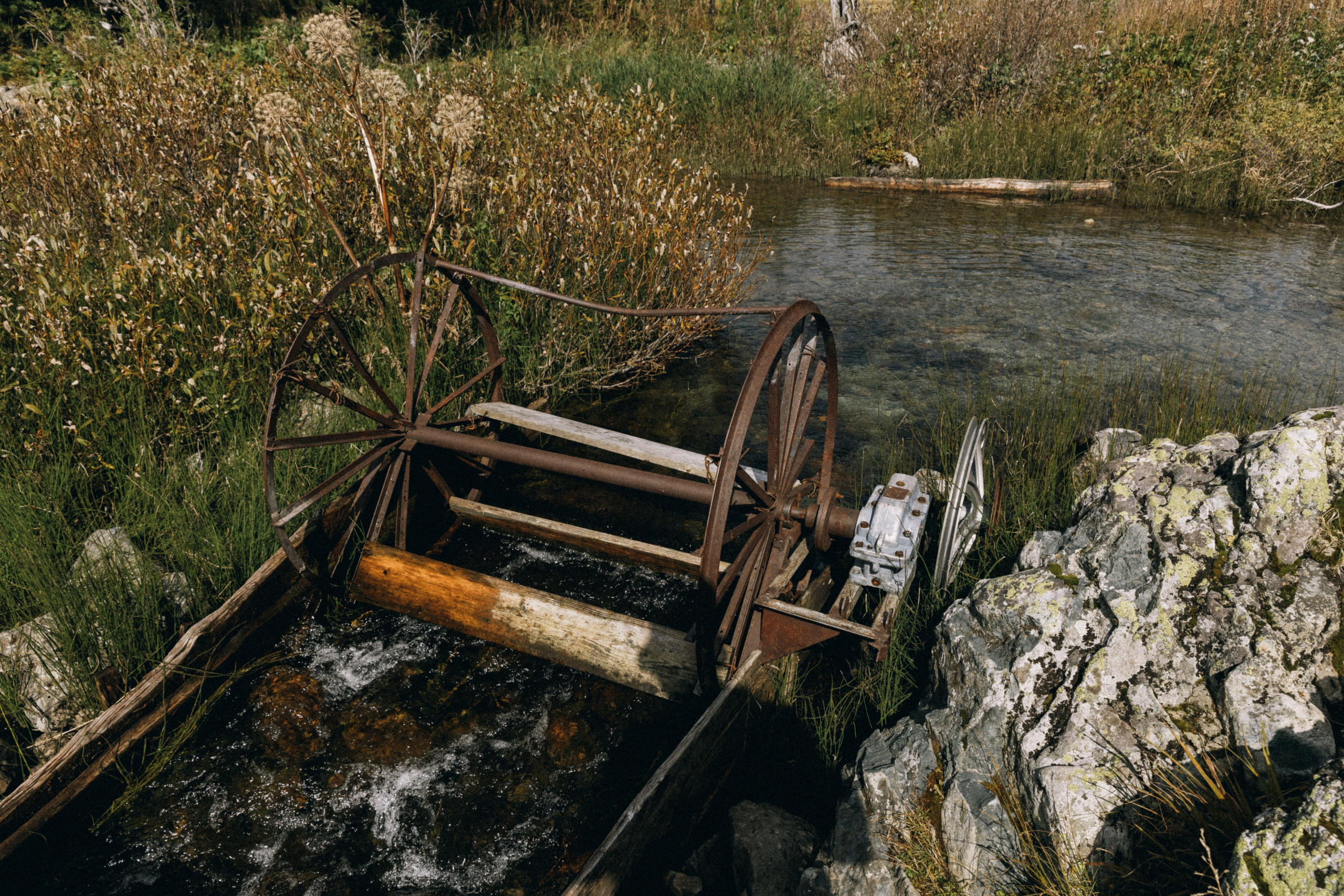 Алтай, природа и эстетика. Александр Чернин. Семейный и событийный фотограф