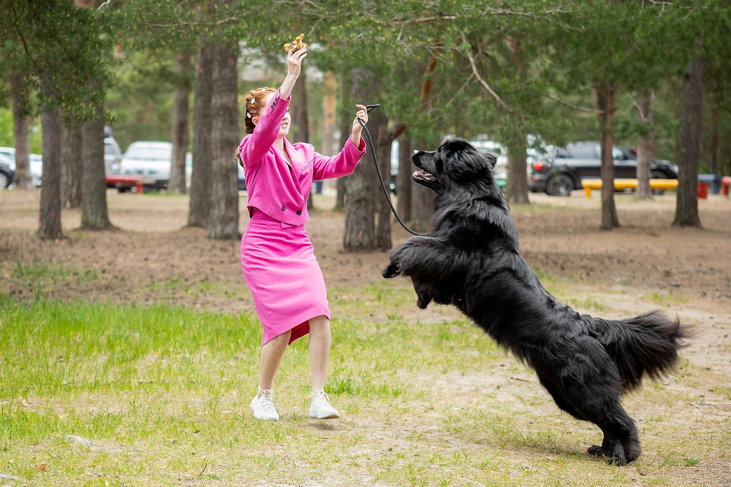 Анимализм г. Владимир. Воронина Наталия — индивидуальный и свадебный фотограф в Рязани