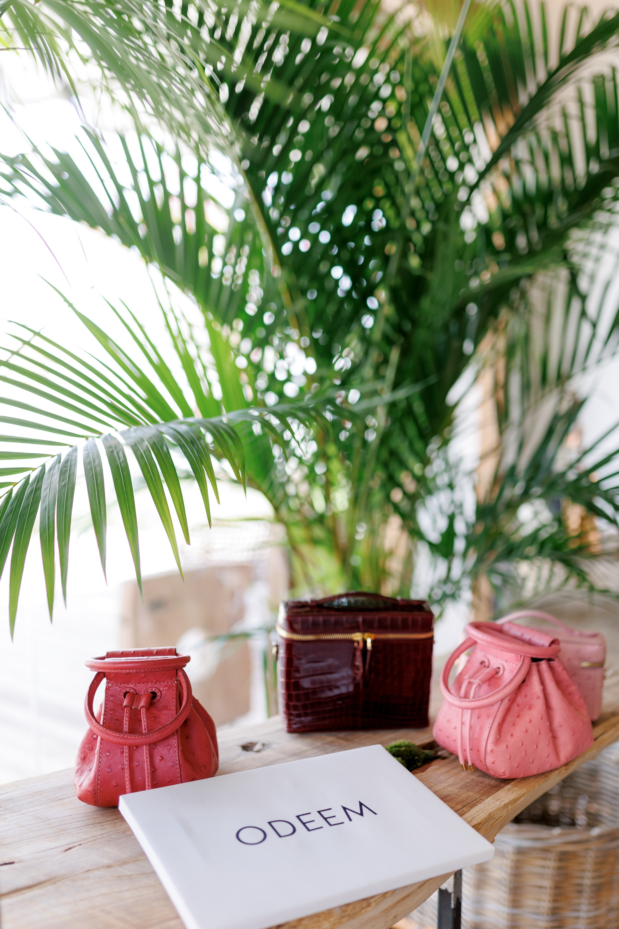 Bags Odeem. Корпоративный и репортажный фотограф Москва