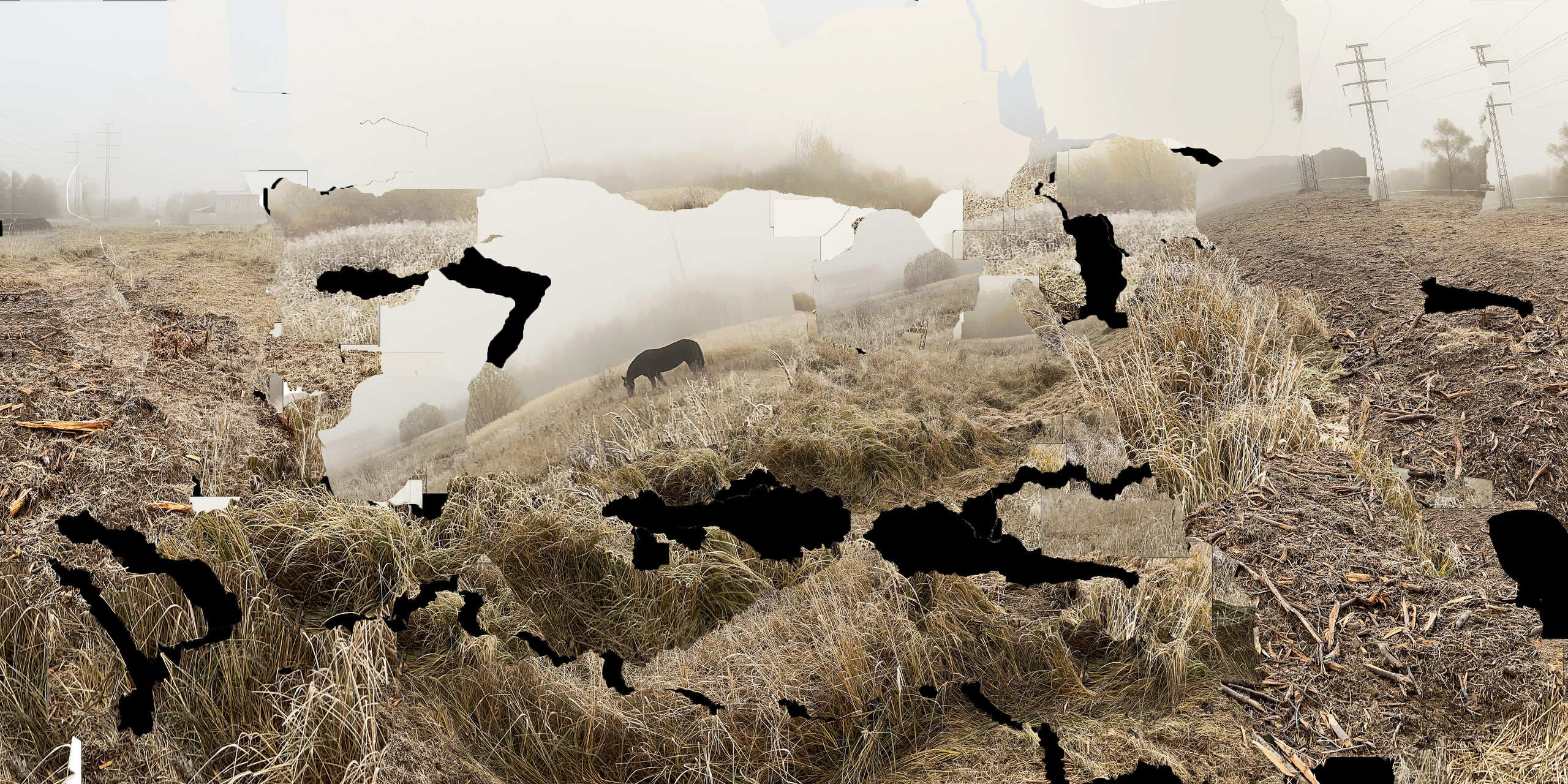 Метод «walkinga». Tatiana Mishchenko