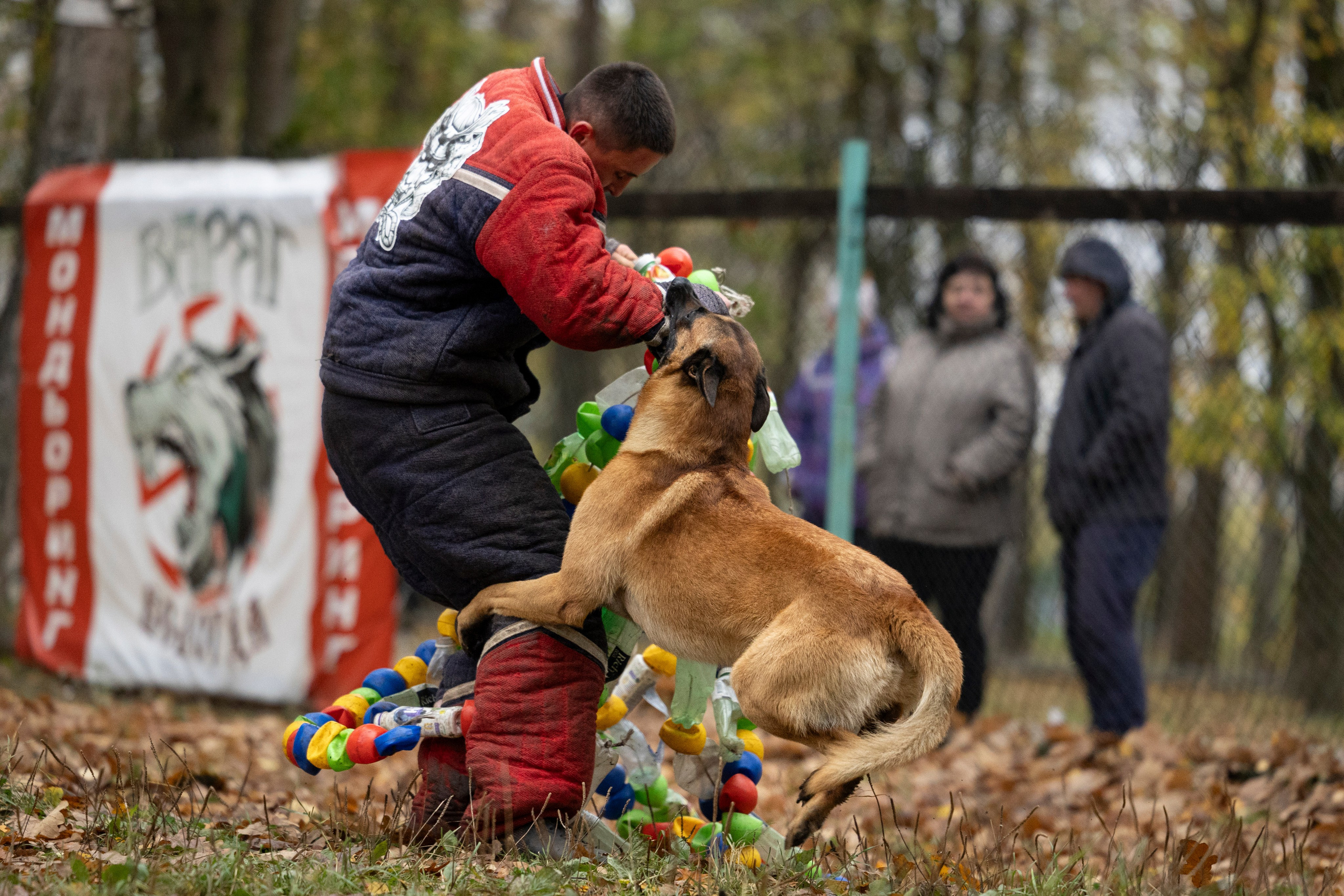Соревнования по Мондьорингу г. Вологда. Фотограф-анималист Анна Маринич