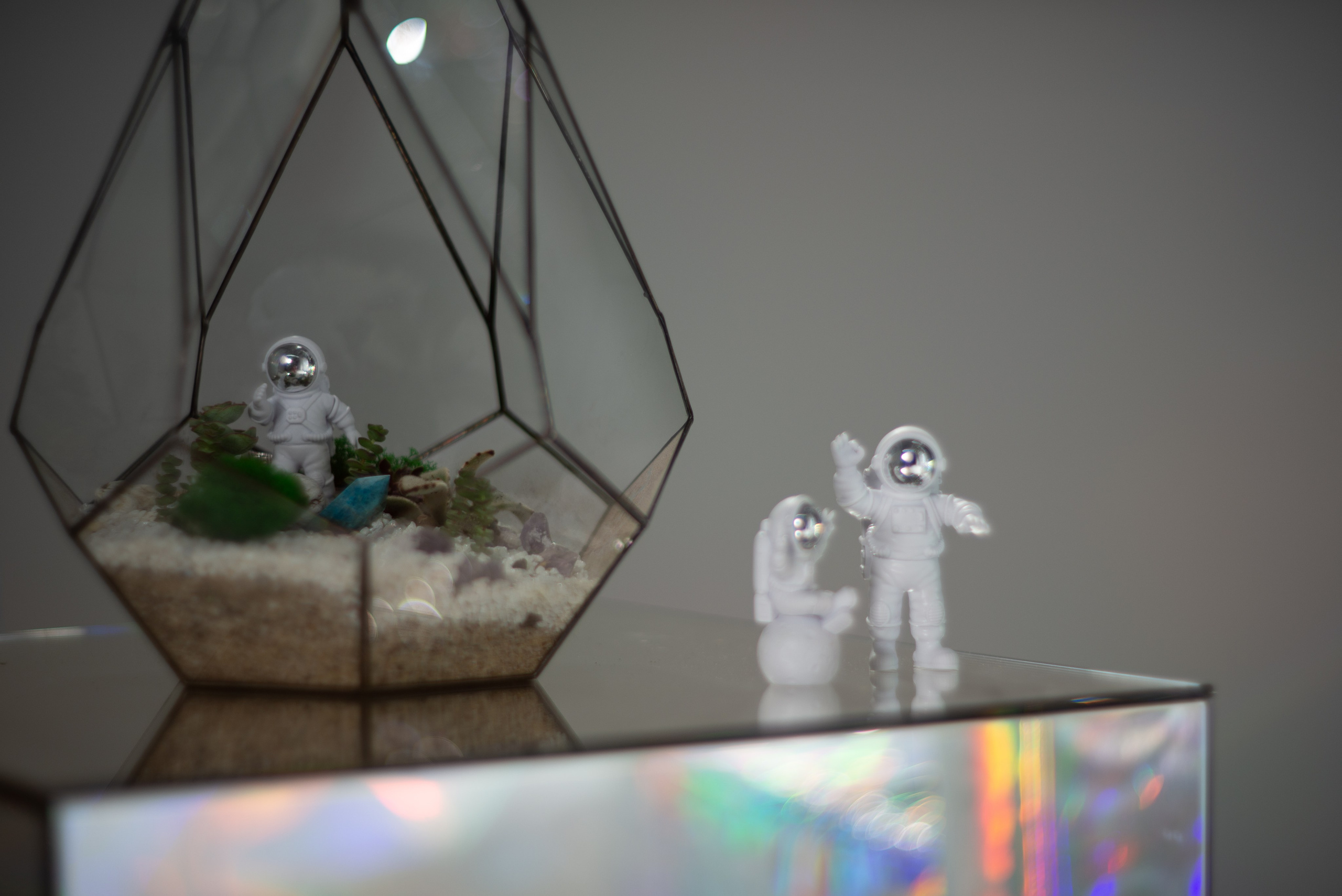 Творческие съёмки. Victoria Radjevna Репортажный Фотограф — Видеограф Москва • Санкт-Петербург