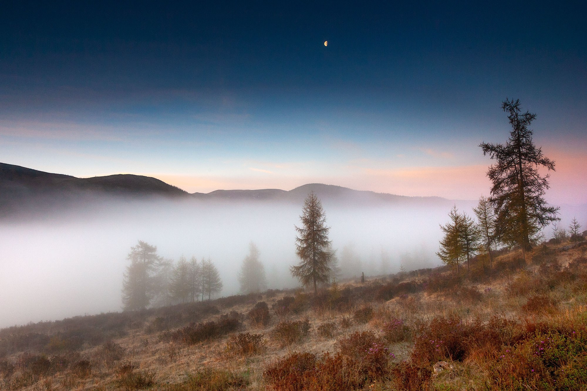 Свадебный фотограф в Геленджике