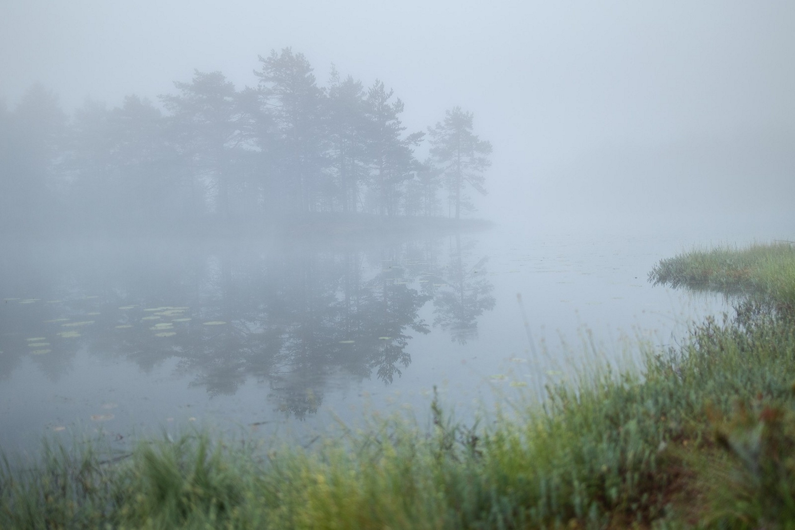 Карельский Перешеек. Фотограф Владимир Медведев