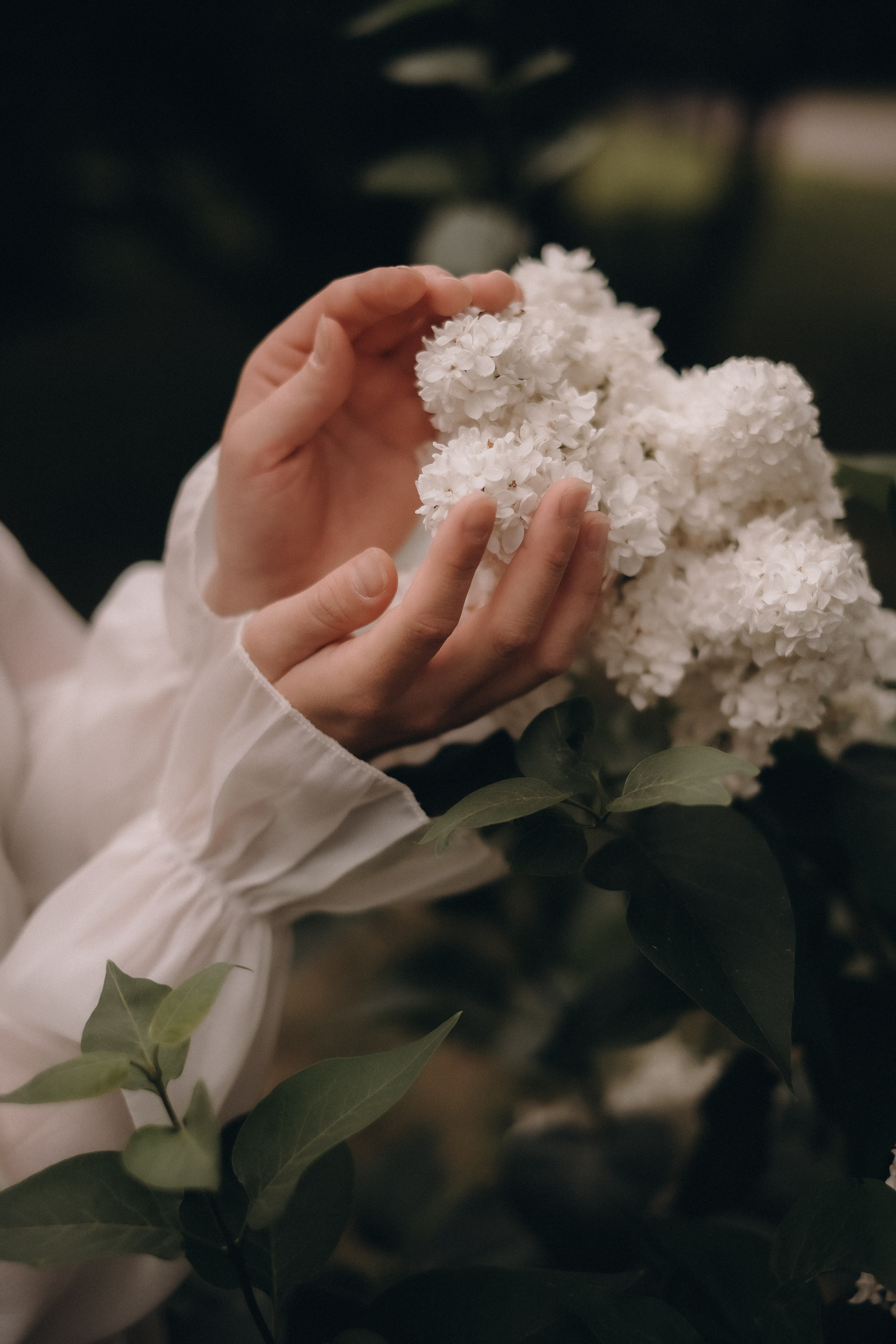 В старинном саду. Свадебный и семейный фотограф в Москве Инника Кетлер