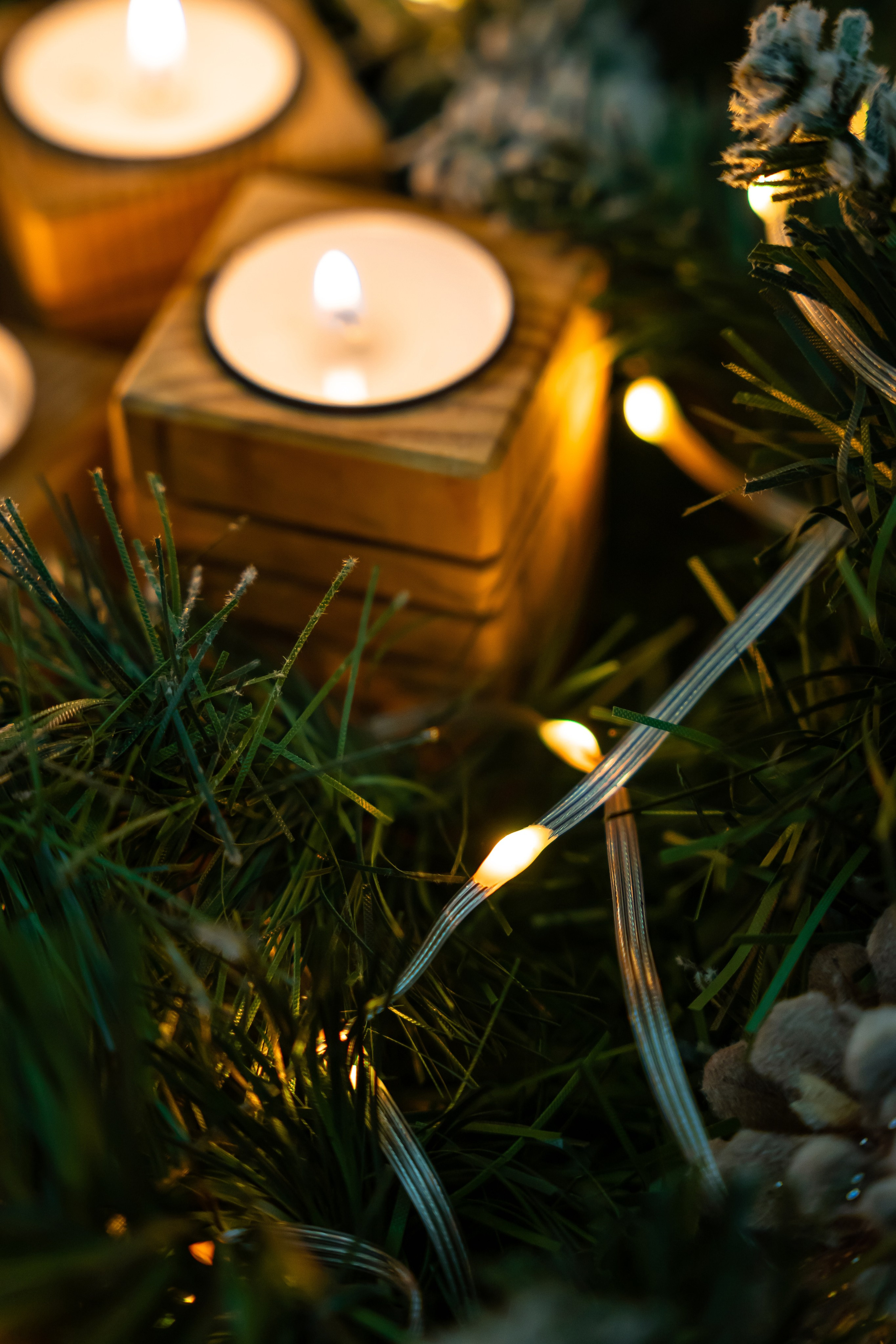 Гирлянда. Предметный и рекламный фотограф в Сочи Мария Золотай