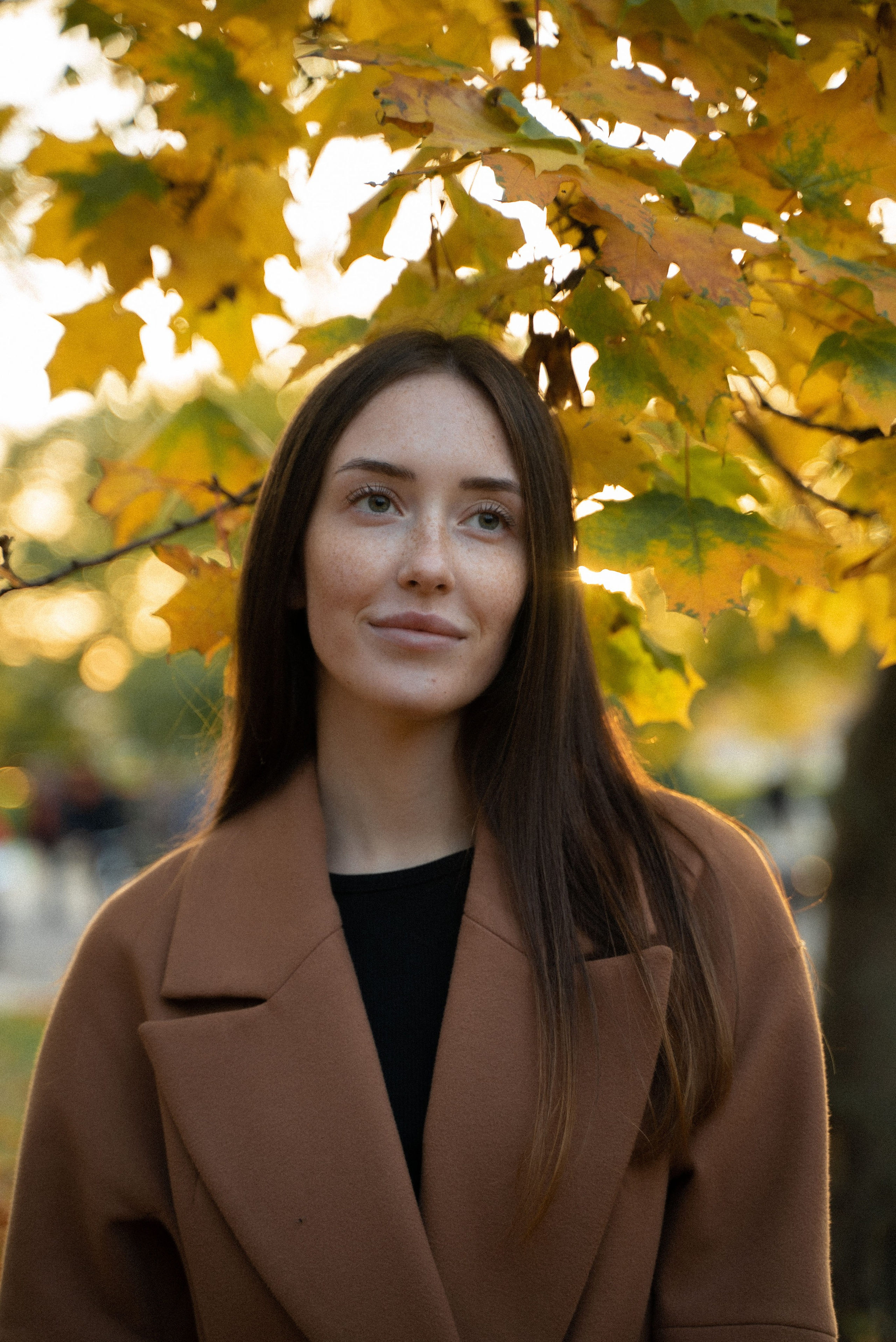 Золотая осень. Видеограф Осинина Татьяна — видеосъемка в Москве