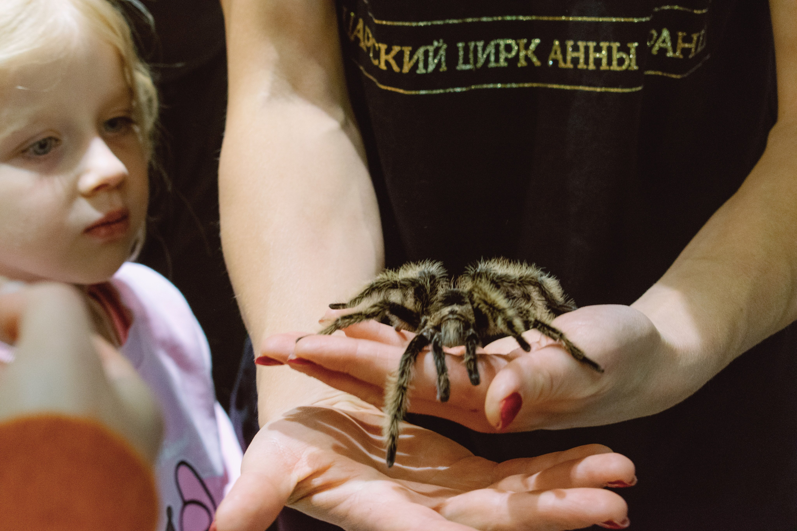Лиза 8 лет. Поставщики эмоций