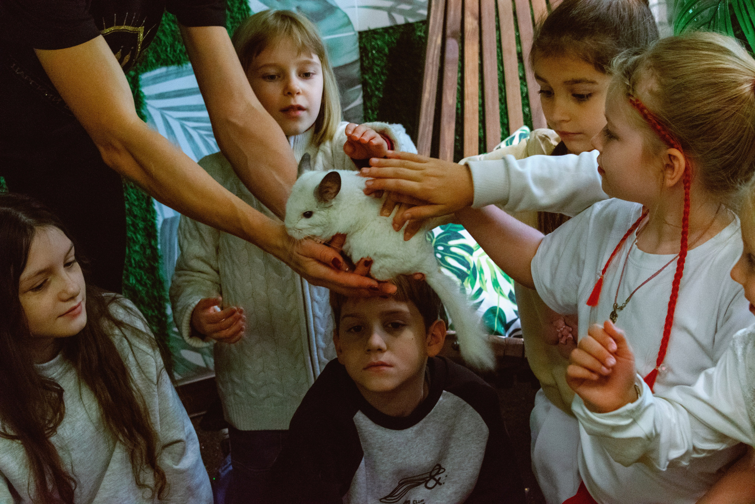 Лиза 8 лет. Поставщики эмоций