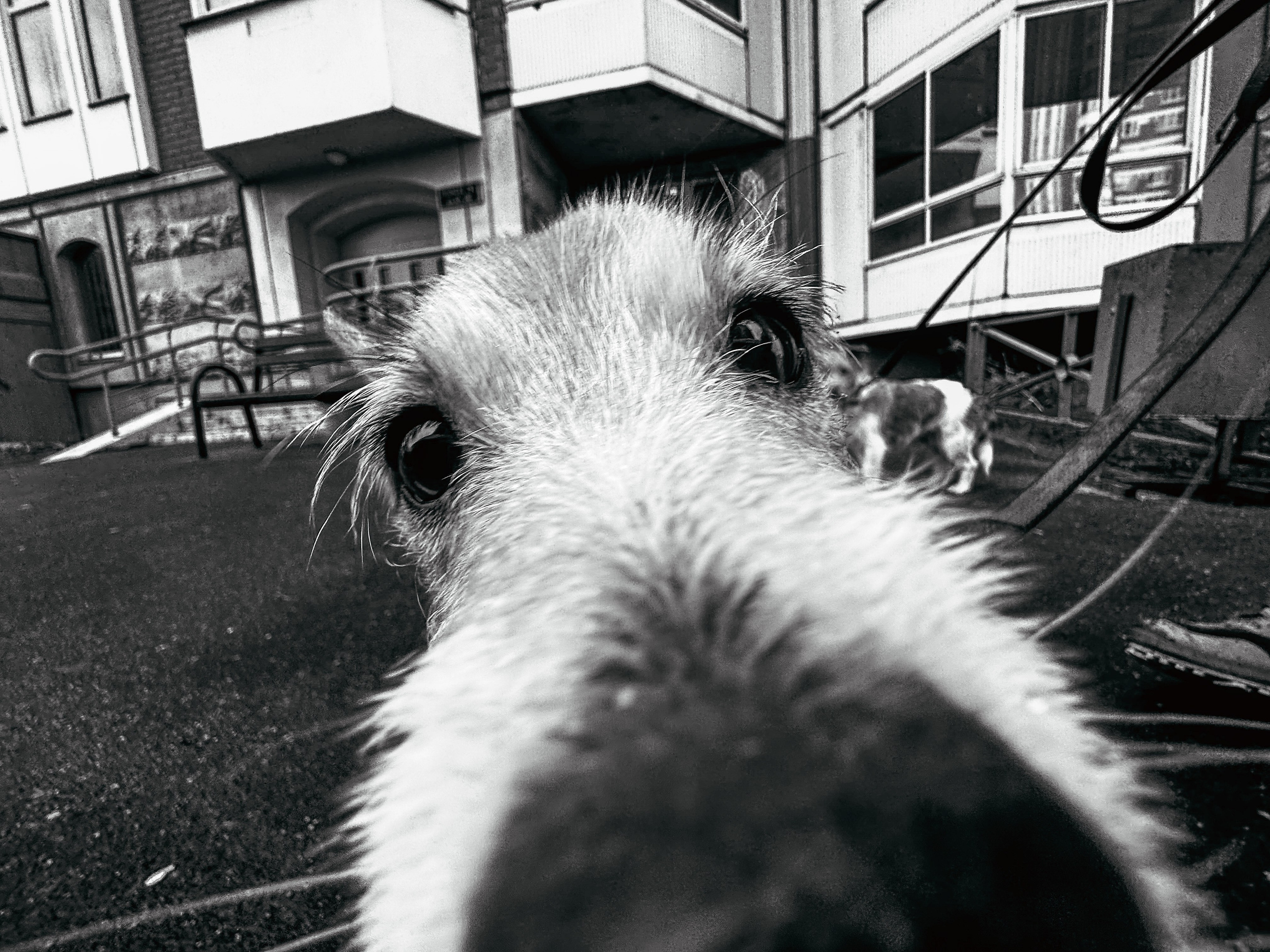 Yōko. Семейный фотограф в Москве Вики О»