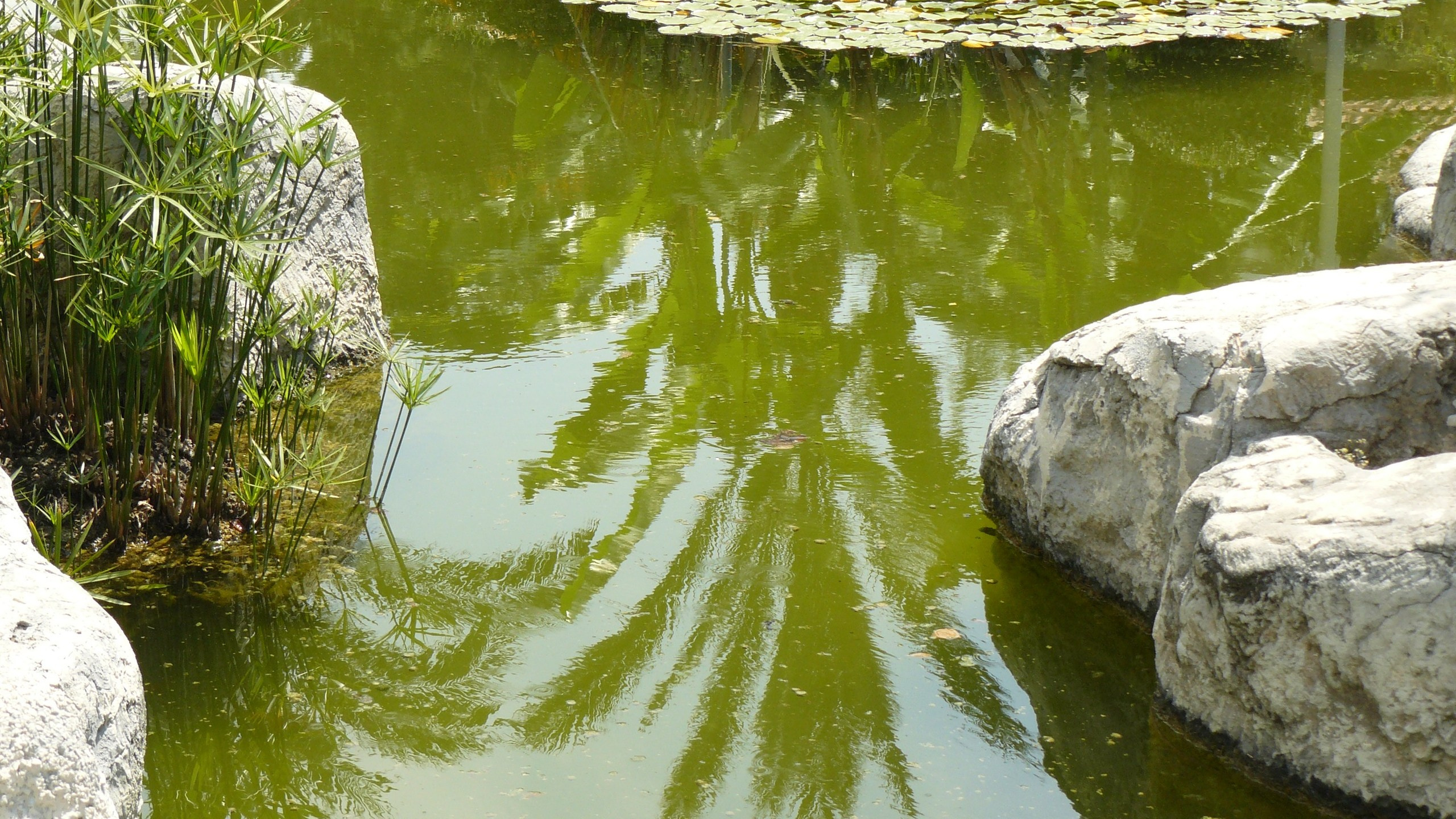 Алания 2015 порт и парк. Фотопрогулки по Миру