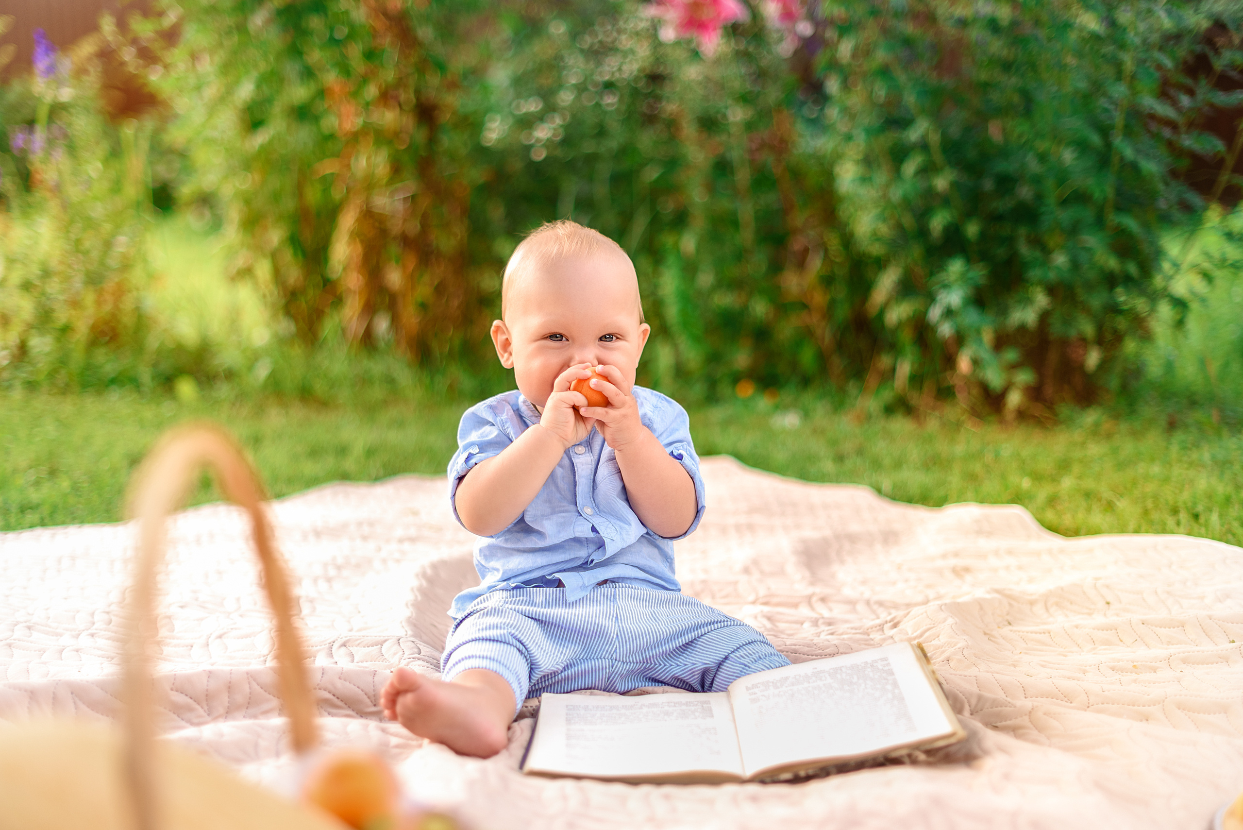 Семейная фотосъемка Женя. Свадебный и семейный фотограф Москва, Иваново Марина Праулинь (Плаксин