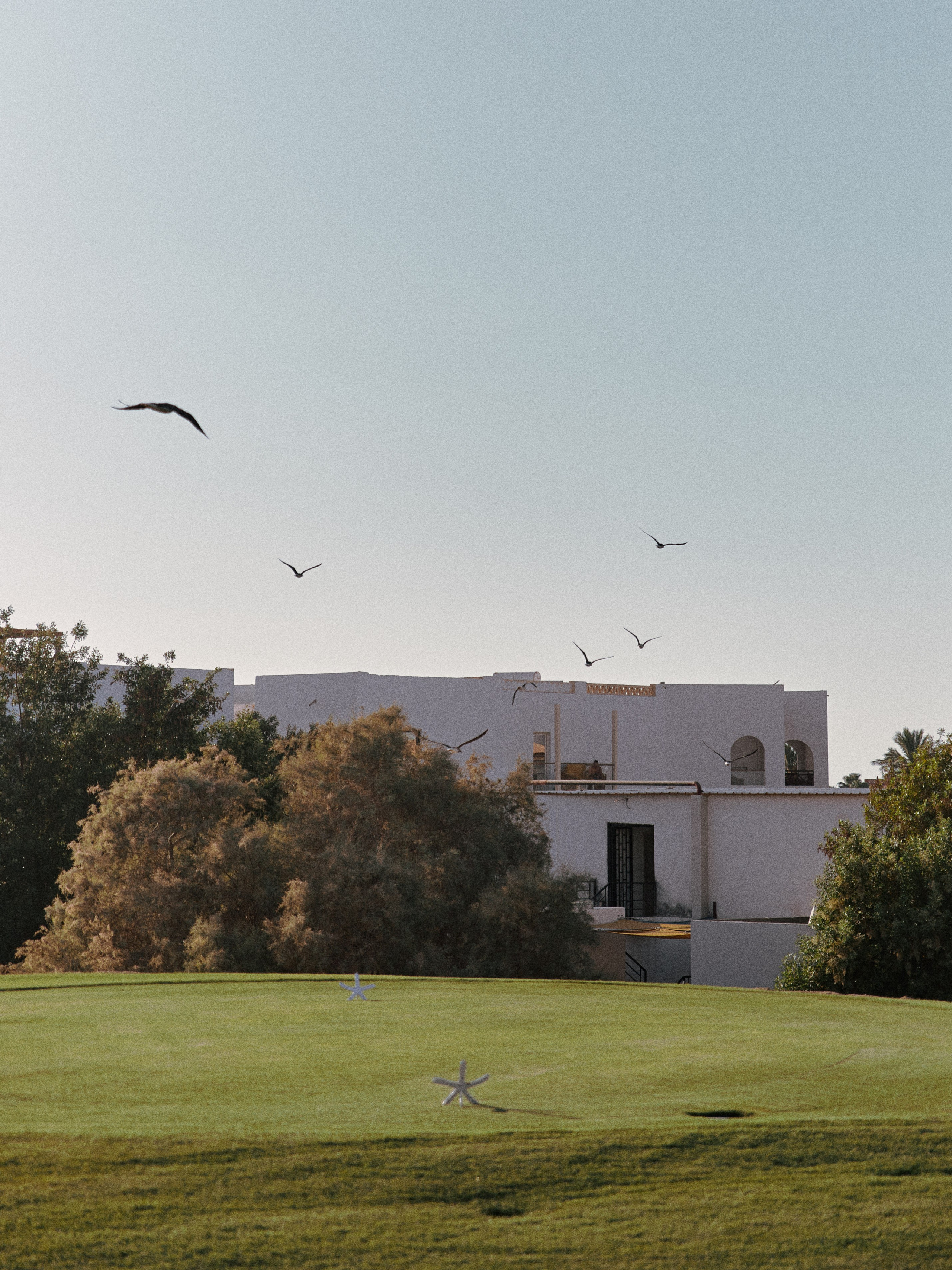 Диптих. Jorgis — фотограф в Хургаде / обучение фотографии