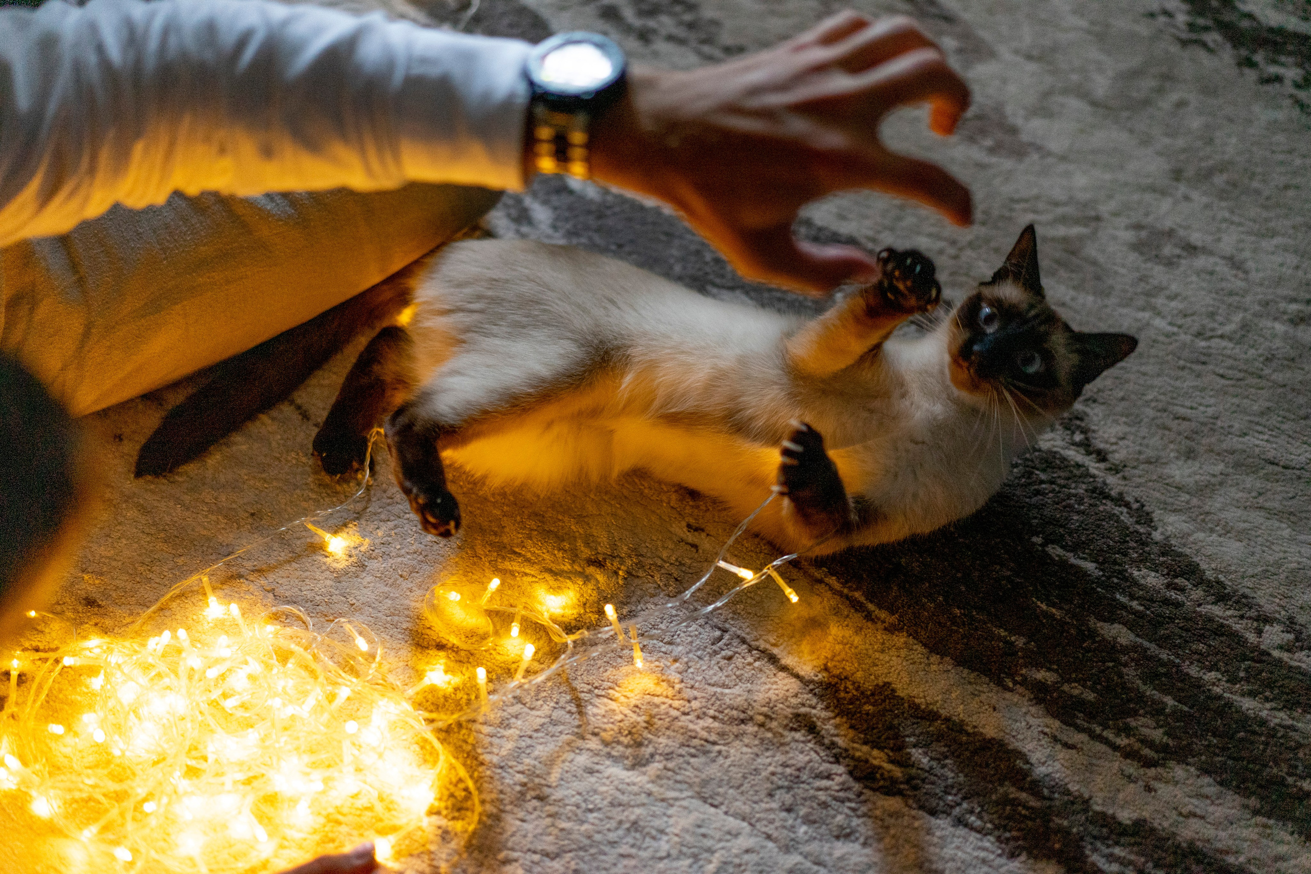 Семейные съемки. Портретный и семейный фотограф в Калининграде Влада Чайдонова