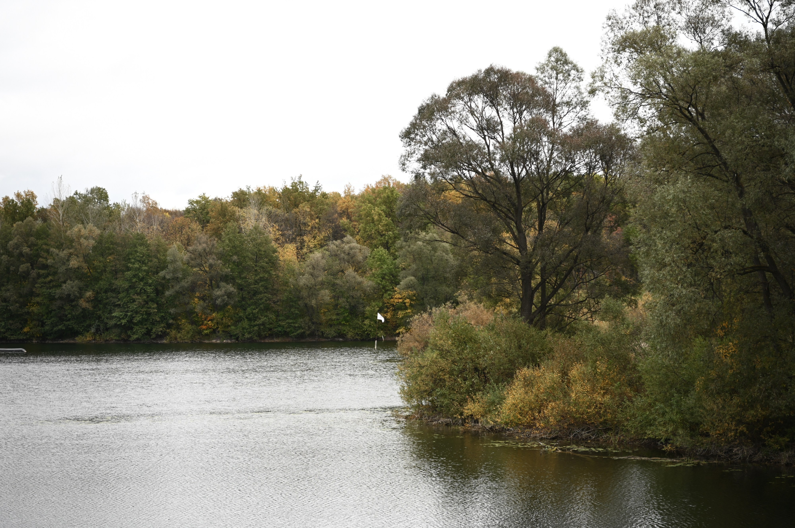 Ринат & Альбина. Свадебный и семейный фотограф в Уфе Александров Максим