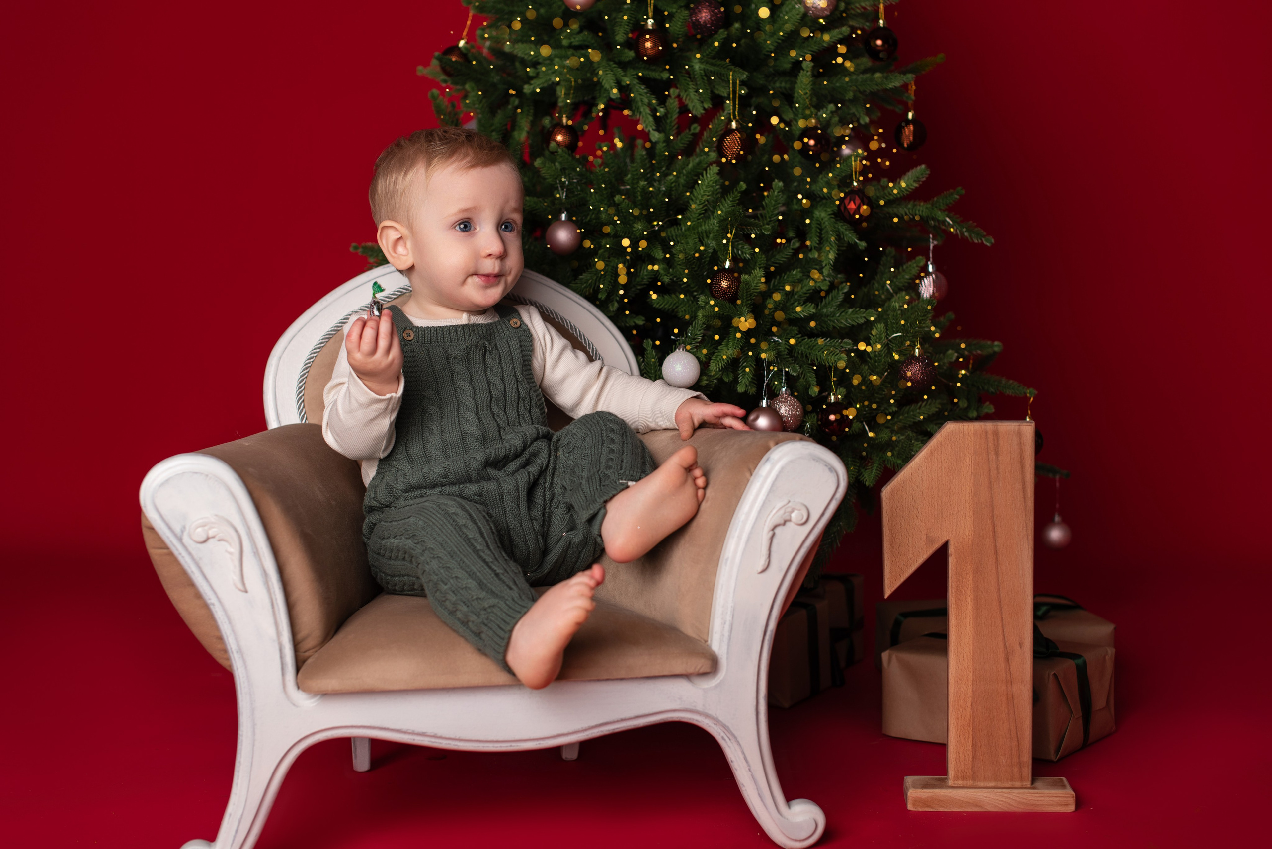 Новый год. Фотограф новорожденных и беременности Сергиев Посад Усачева Ирина