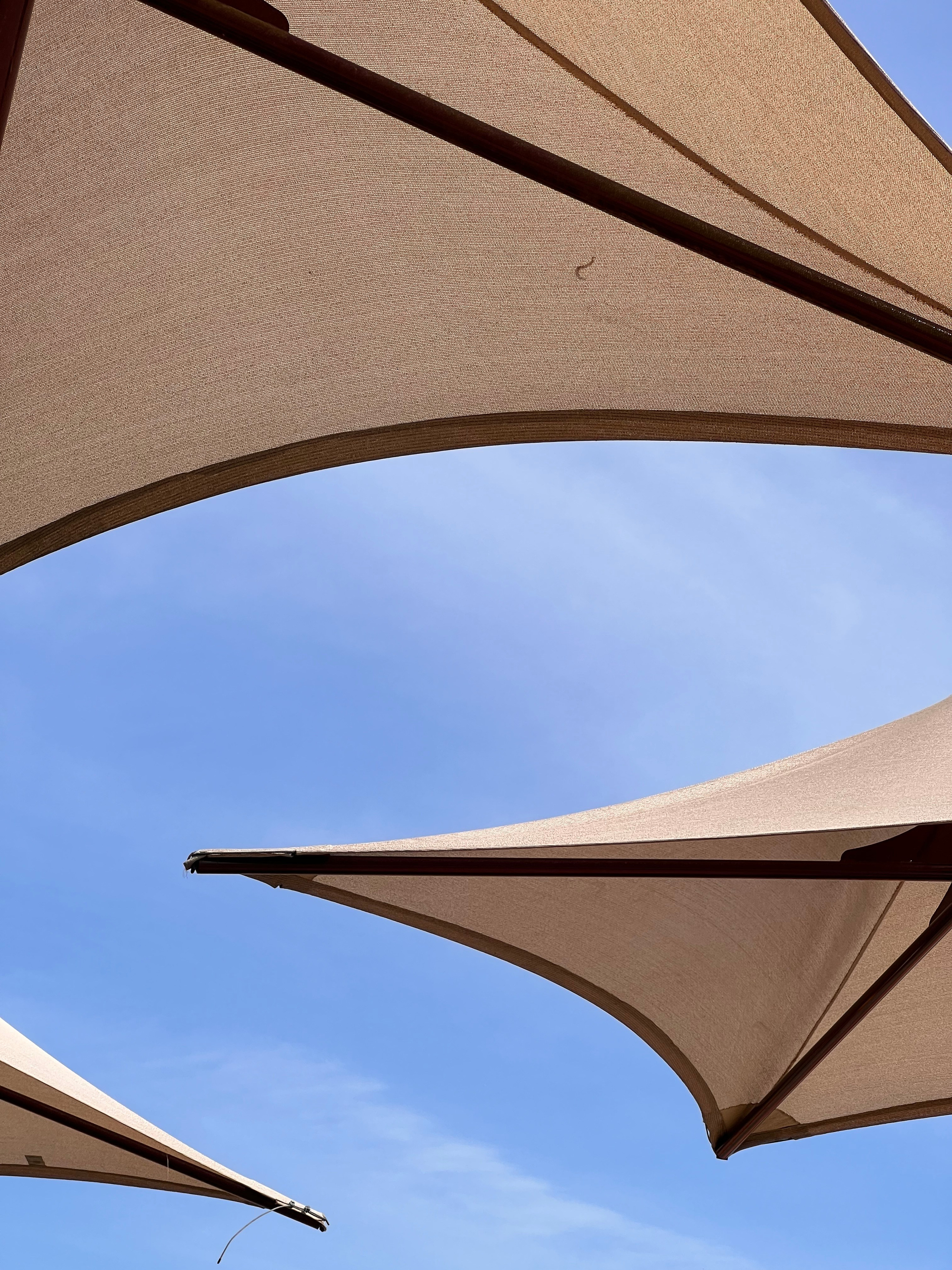 Сочи. Фотограф Сергей Красников