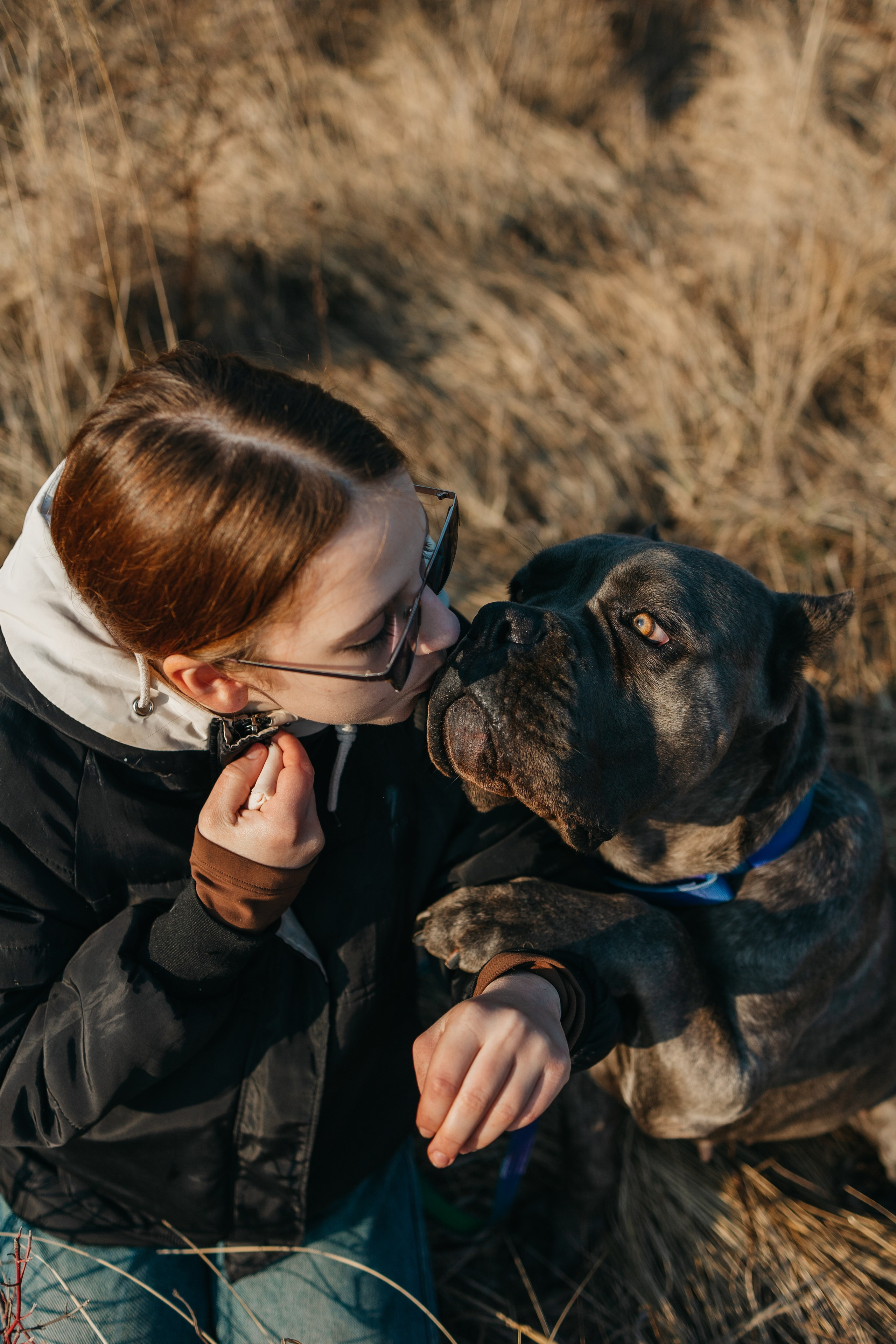 Лера, Ума и Винни. Фотограф — анималист Светлана Кысса|фотограф собак в Краснодаре и Нижнем Новгороде