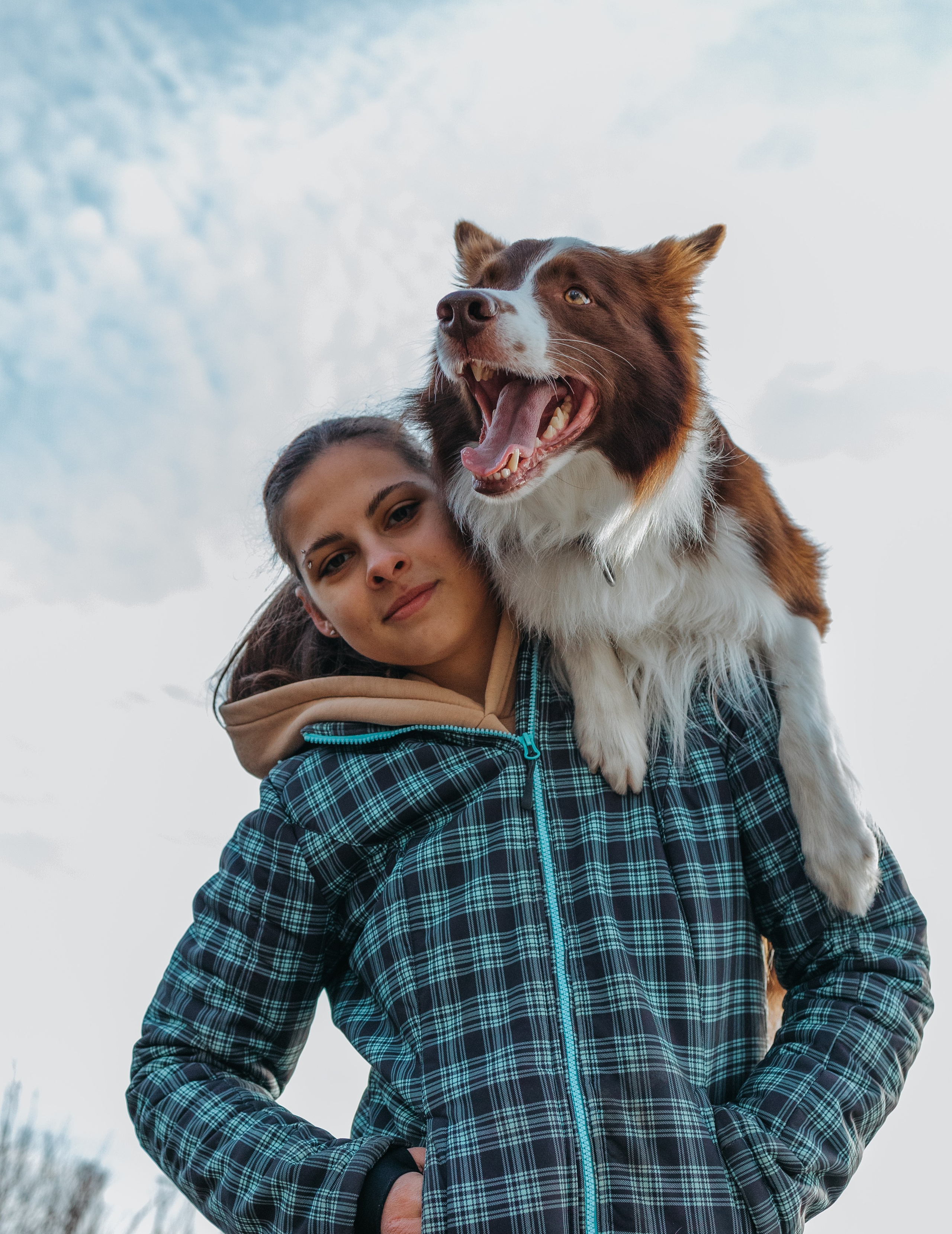 Маша и Тори. Фотограф — анималист Светлана Кысса|фотограф собак в Краснодаре и Нижнем Новгороде