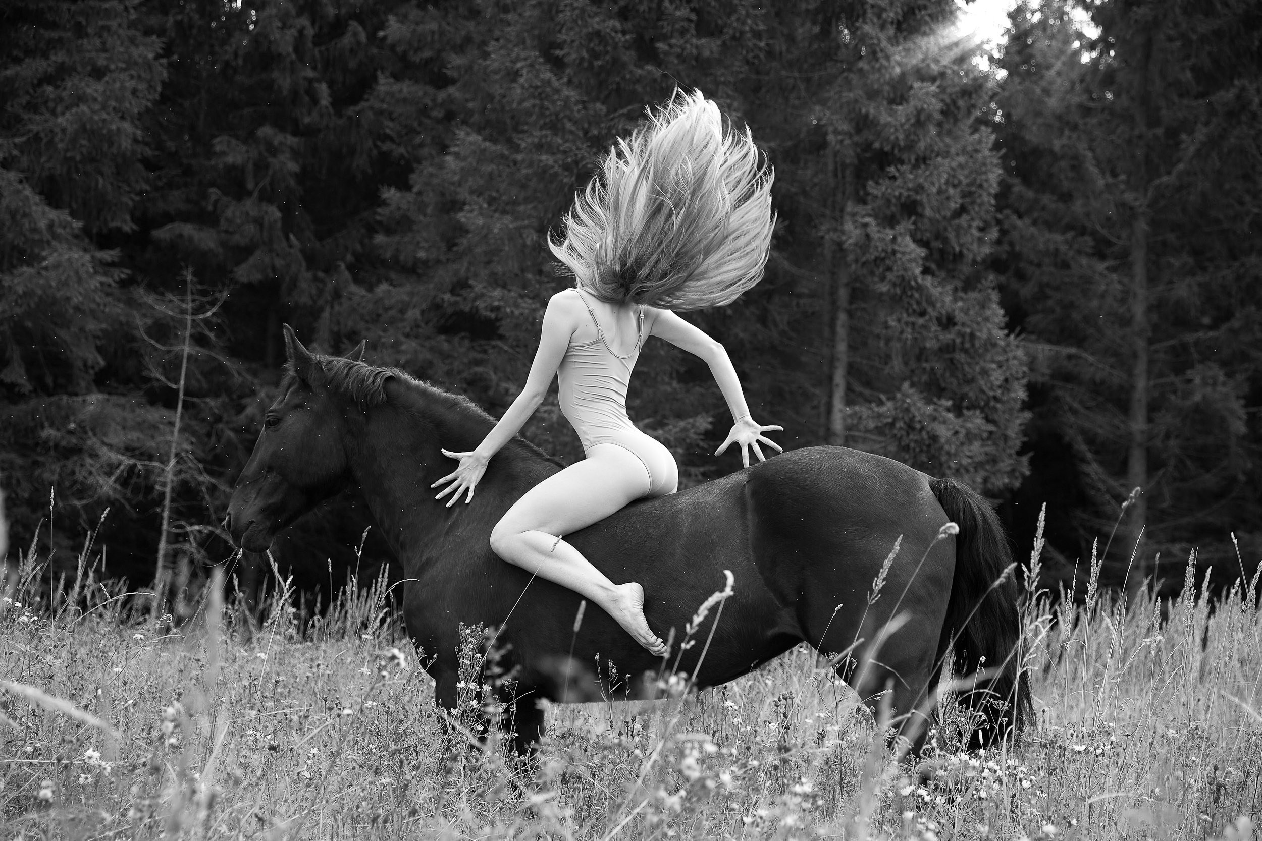 Фотопроекты и съемки на природе, с лошадьми, самолетами и авто. Выездная фотосессия. Фотограф, фотопроекты Михаила Семенова в Ярославле. Фотошкола